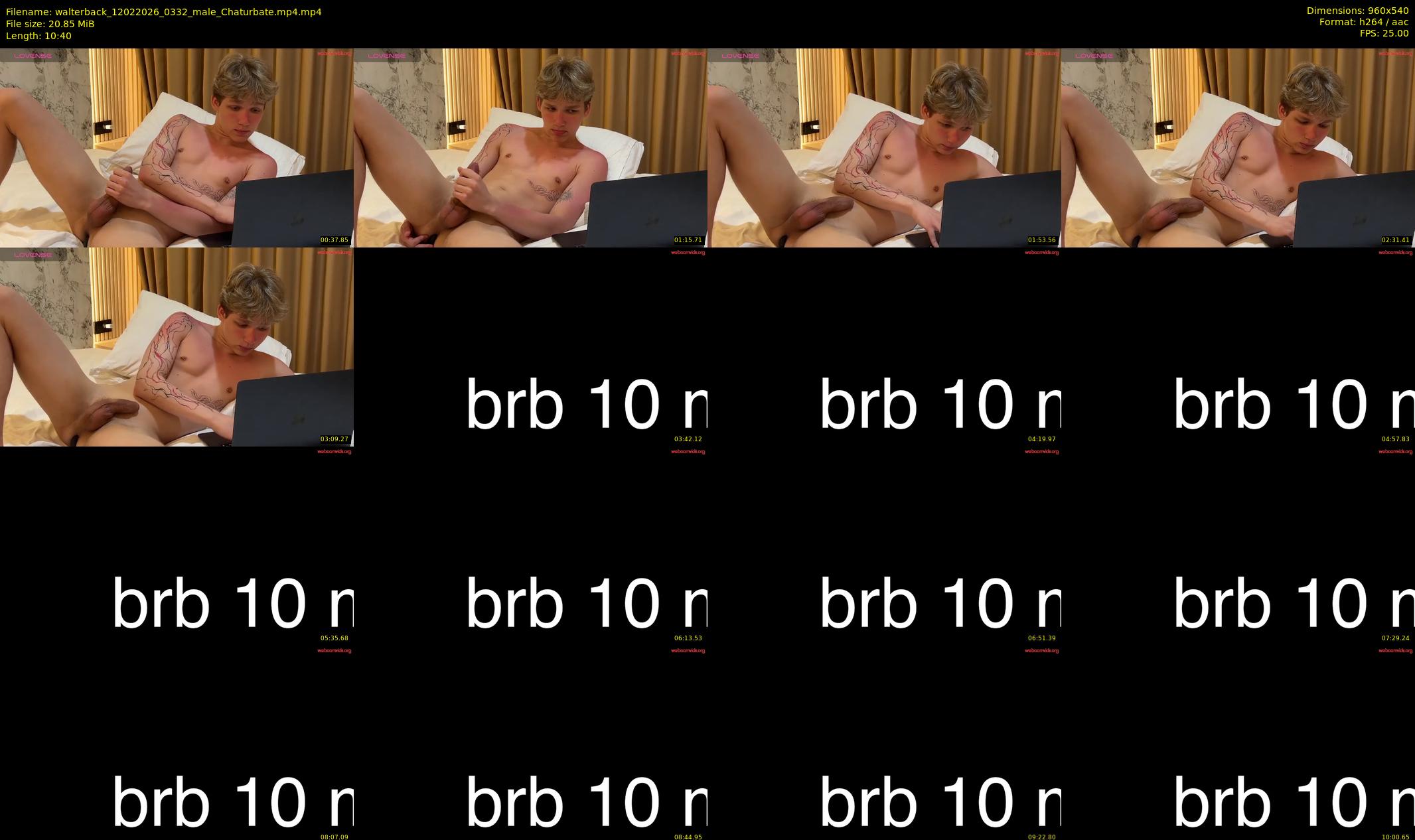 walterback — 11 minute Chaturbate male cam show recording, 480p, Feb 12, 2026