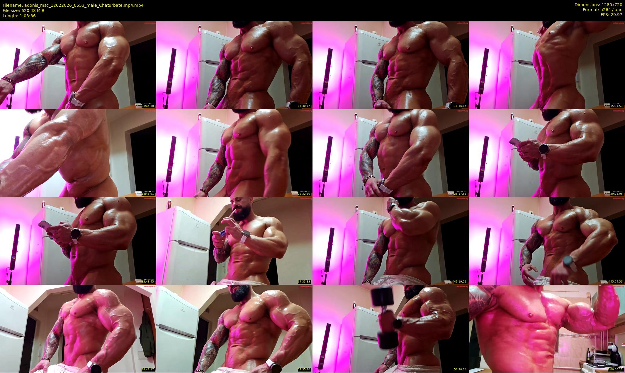 adonis_msc — 64 minute Chaturbate male cam show recording, 720p, Feb 12, 2026
