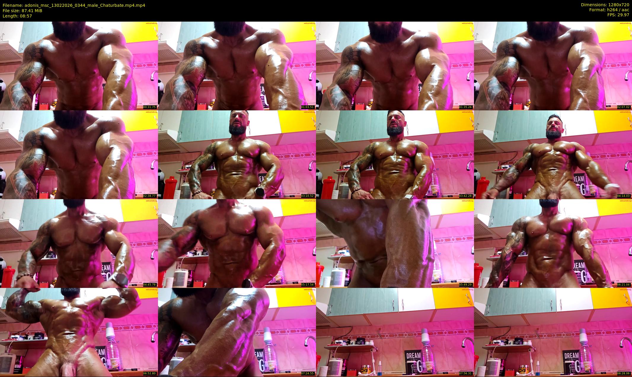 adonis_msc — 9 minute Chaturbate male cam show recording, 720p, Feb 13, 2026
