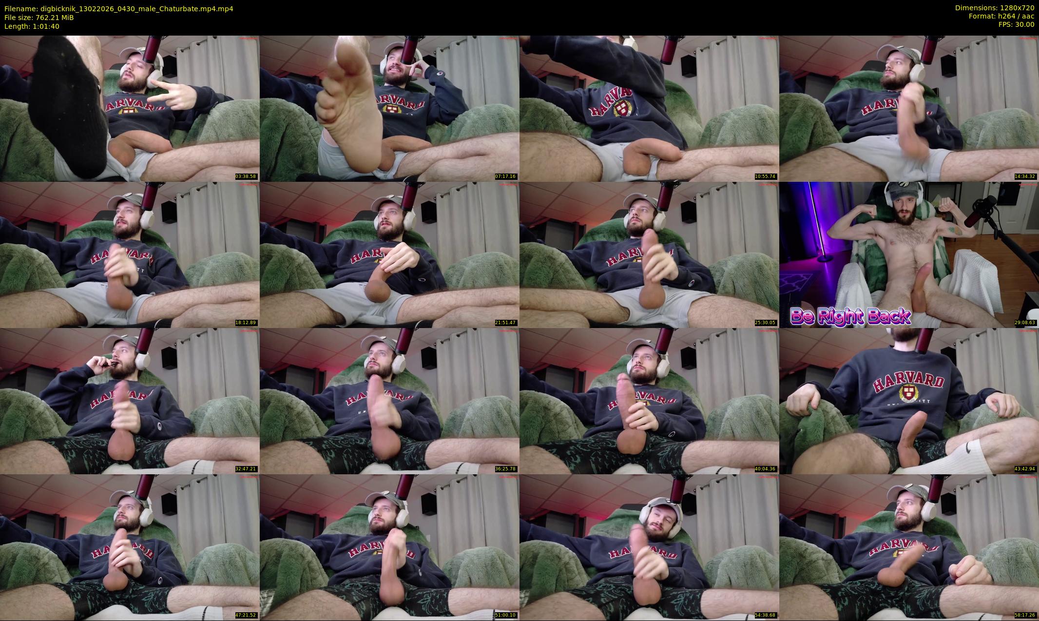 digbicknik — 62 minute Chaturbate male cam show recording, 720p, Feb 13, 2026