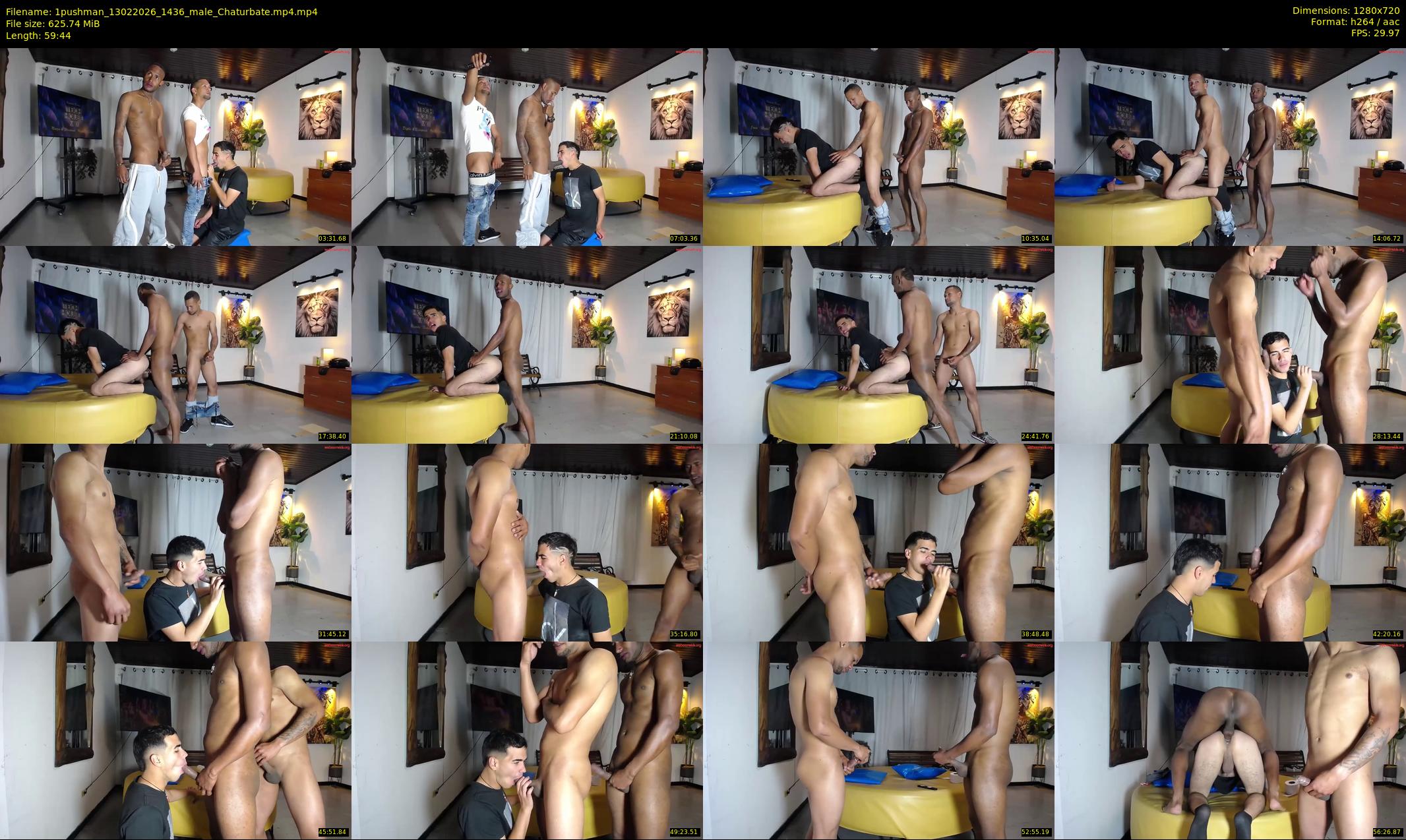 1pushman — 60 minute Chaturbate male cam show recording, 720p, Feb 13, 2026