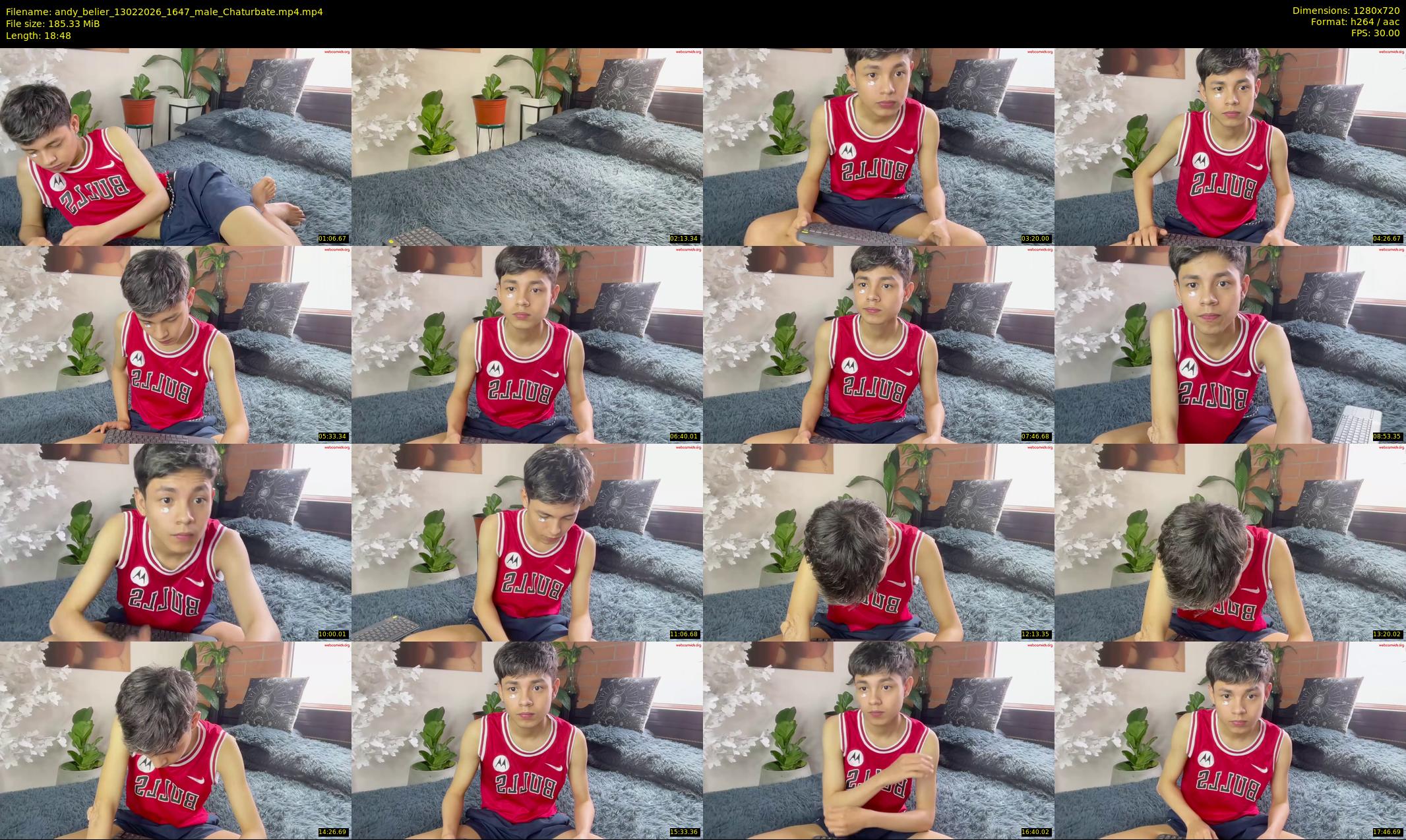 andy_belier — 19 minute Chaturbate male cam show recording, 720p, Feb 13, 2026