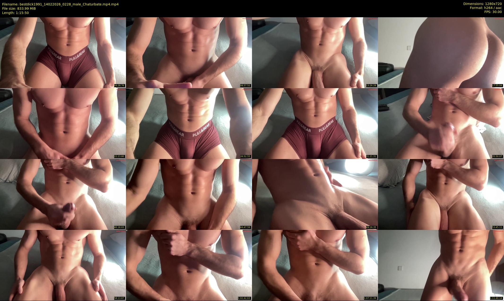 bestdick1991 — 76 minute Chaturbate male cam show recording, 720p, Feb 14, 2026