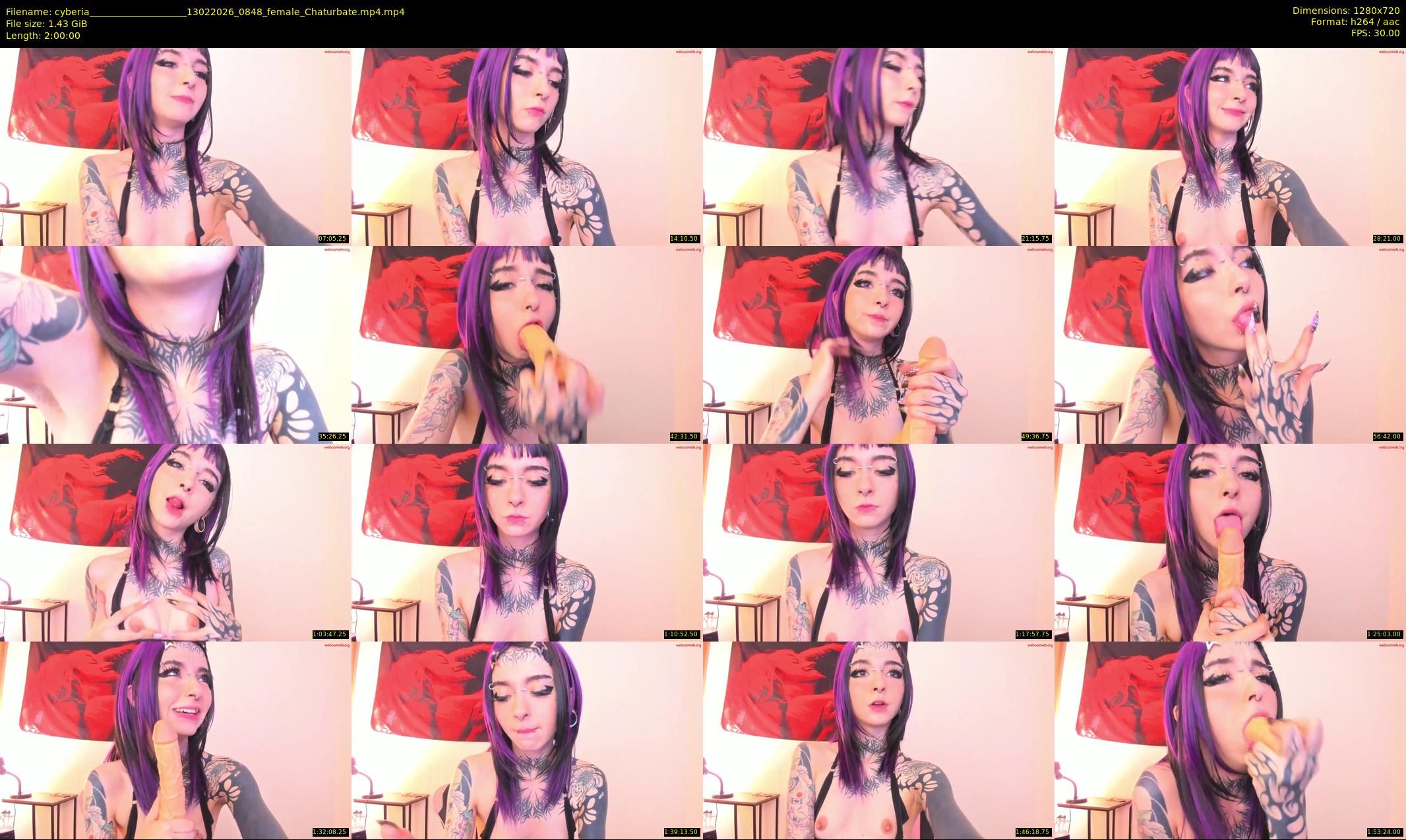 cyberia____________________ — 120 minute Chaturbate female cam show recording, 720p, Feb 13, 2026