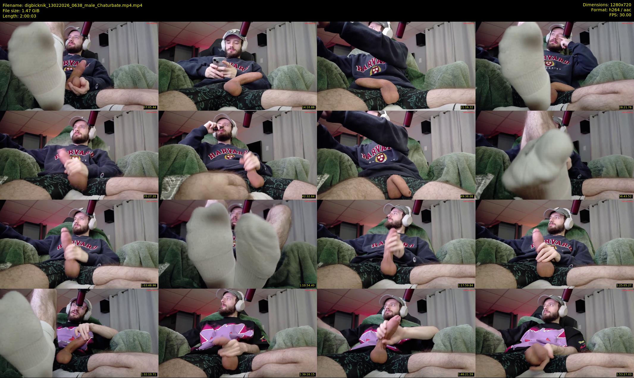 digbicknik — 121 minute Chaturbate male cam show recording, 720p, Feb 13, 2026