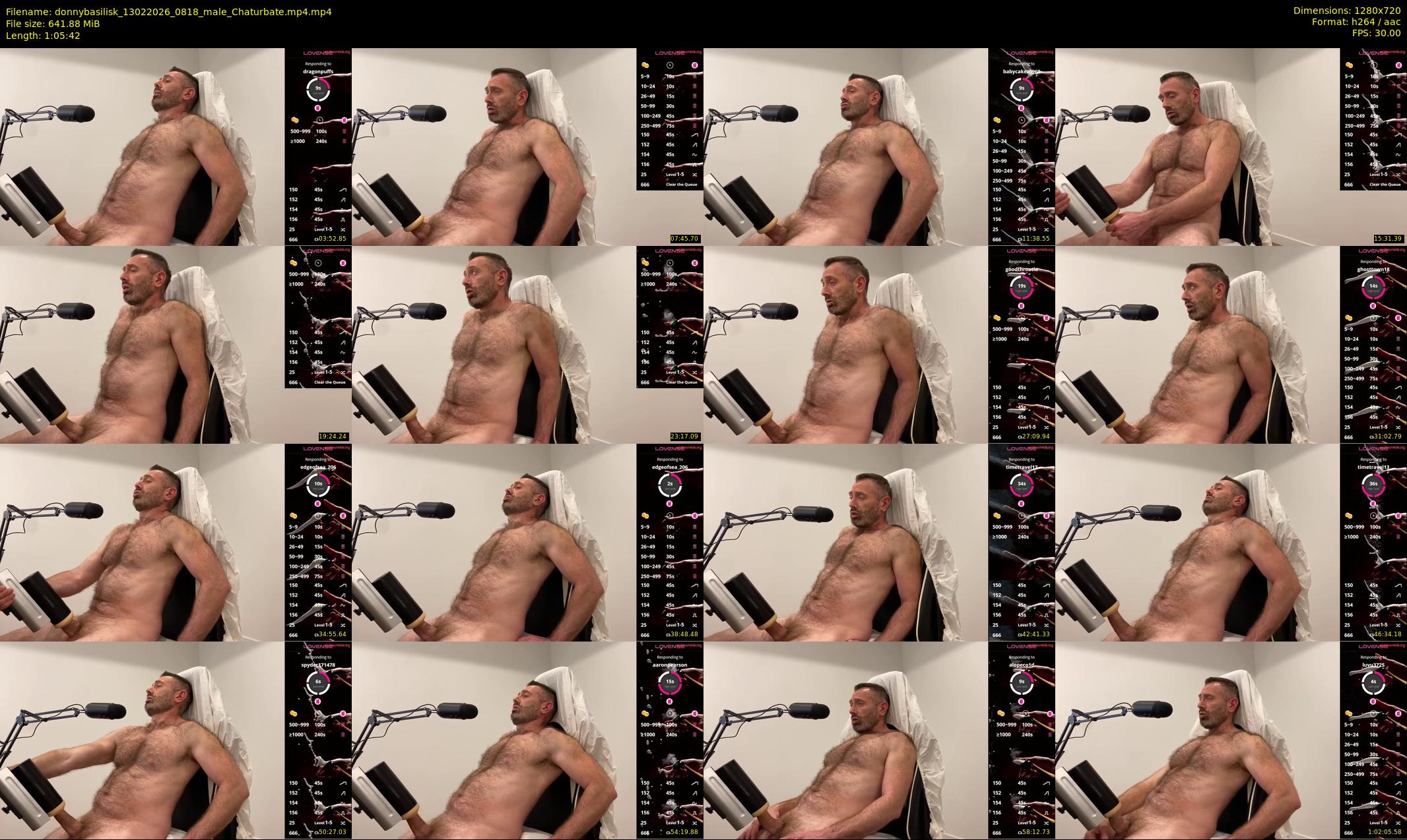 donnybasilisk — 66 minute Chaturbate male cam show recording, 720p, Feb 13, 2026