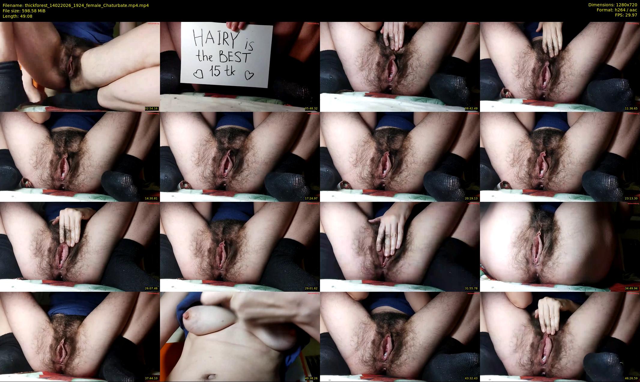 thickforest — 50 minute Chaturbate female cam show recording, 720p, Feb 14, 2026