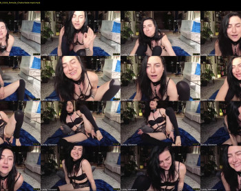 levity_opossum — 38 minute Chaturbate female cam show recording, 720p, Feb 16, 2026