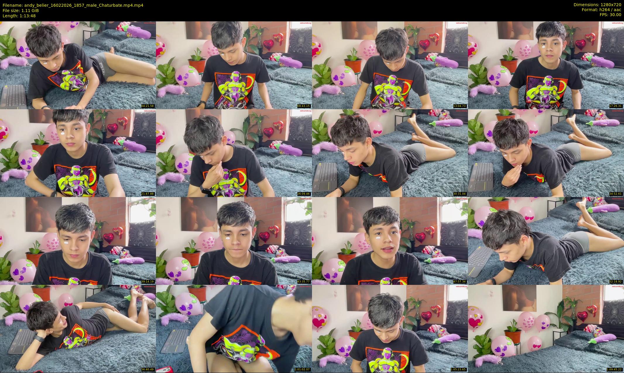 andy_belier — 74 minute Chaturbate male cam show recording, 720p, Feb 16, 2026