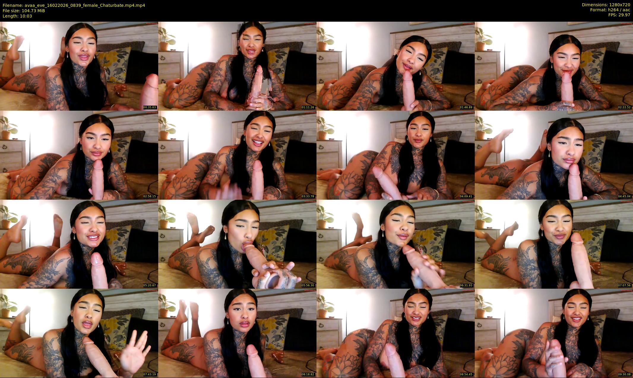 avaa_eve — 11 minute Chaturbate female cam show recording, 720p, Feb 16, 2026
