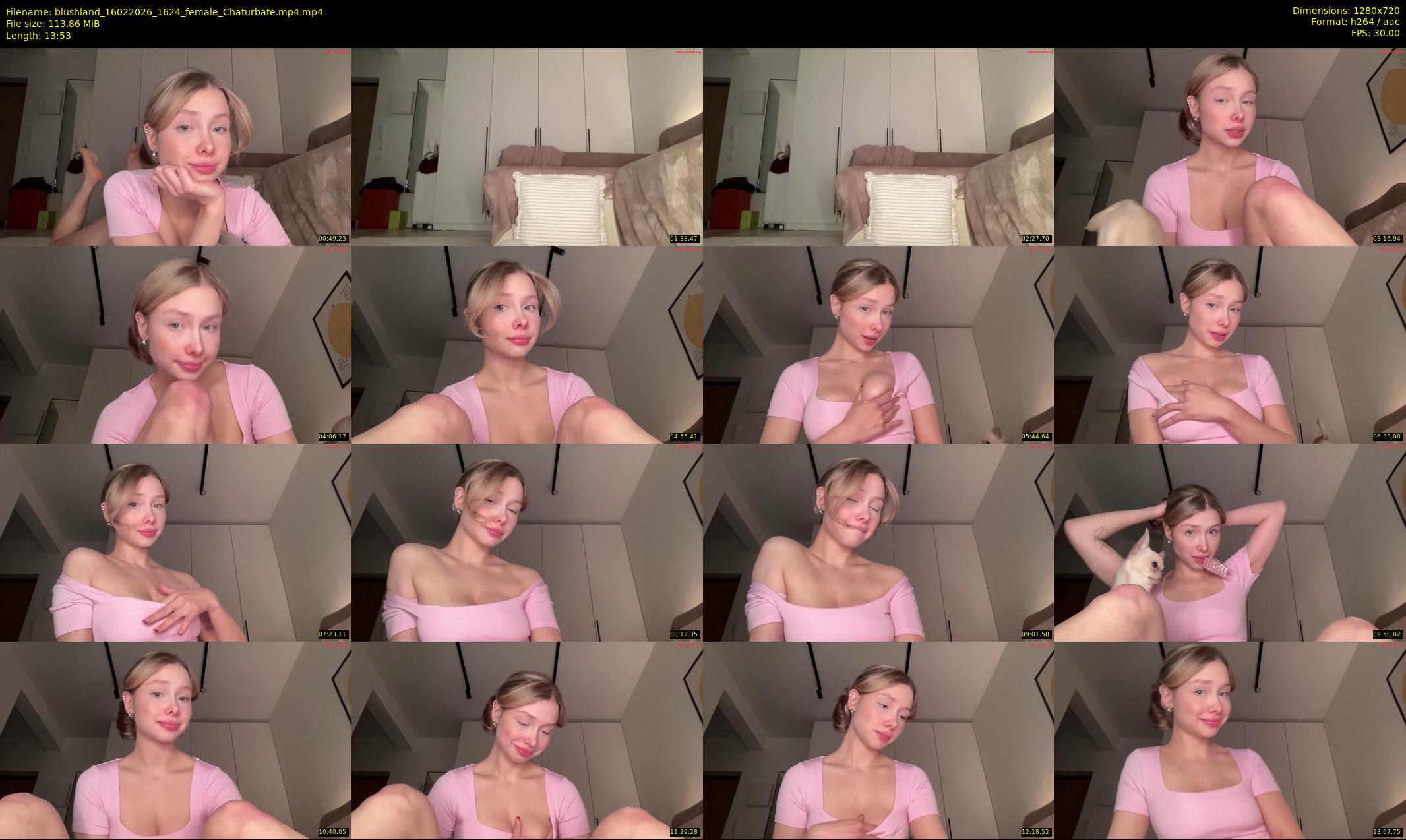 blushland — 14 minute Chaturbate couple cam show recording, 720p, Feb 16, 2026