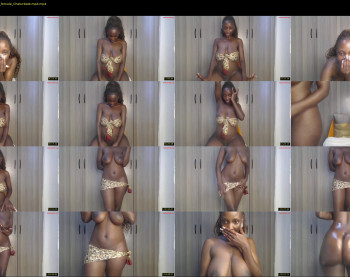 gulpess — 103 minute Chaturbate female cam show recording, 480p, Feb 16, 2026