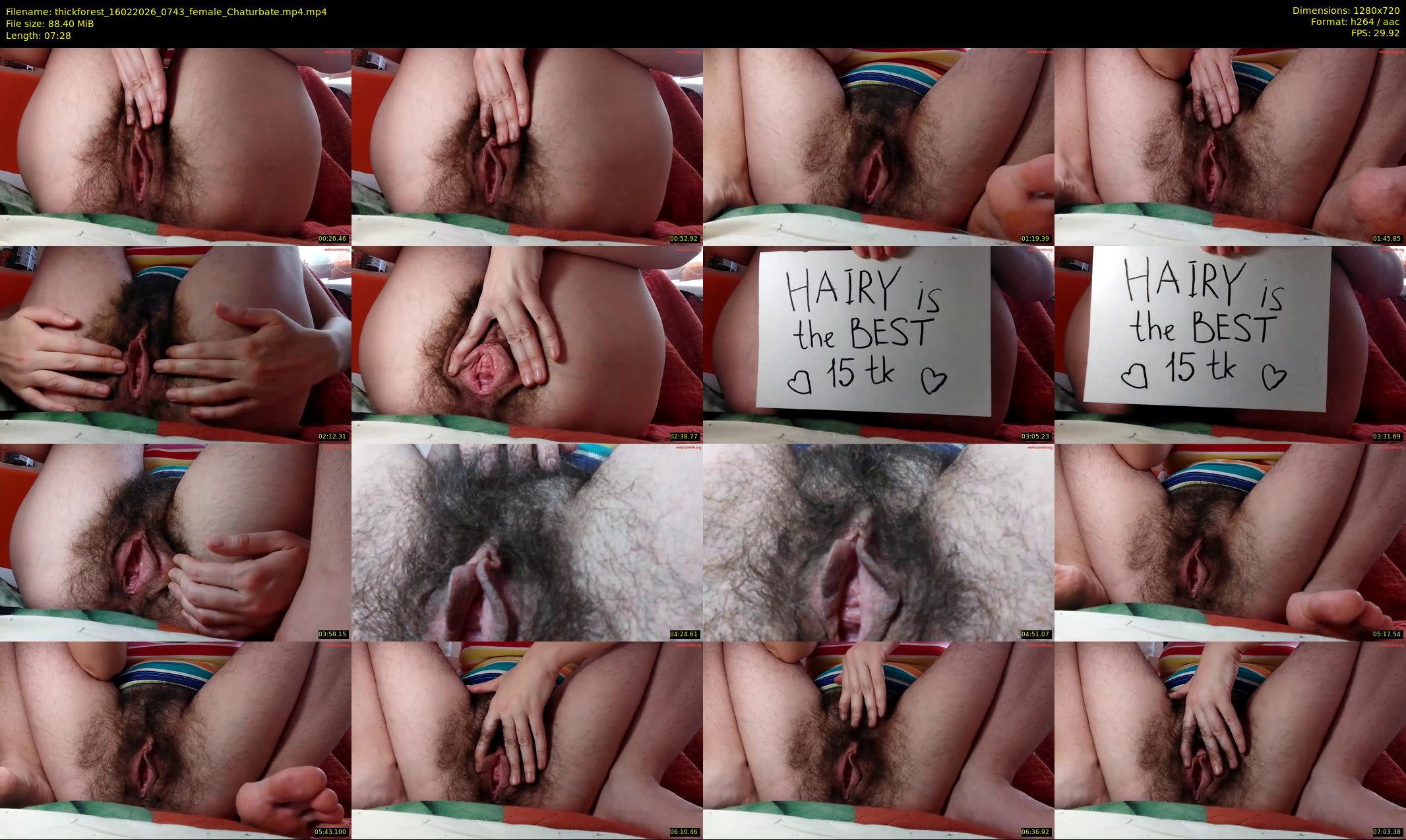 thickforest — 8 minute Chaturbate female cam show recording, 720p, Feb 16, 2026