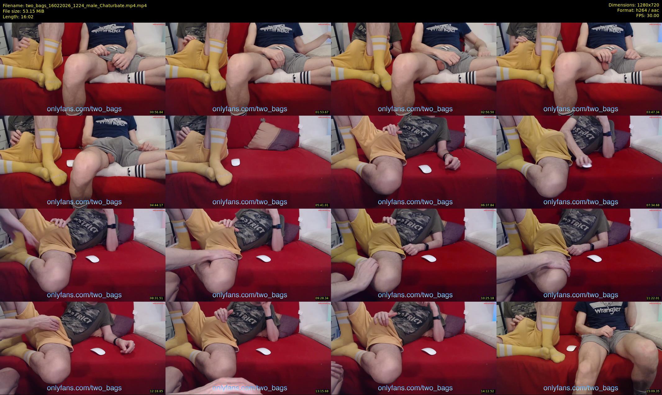 two_bags — 17 minute Chaturbate male cam show recording, 720p, Feb 16, 2026