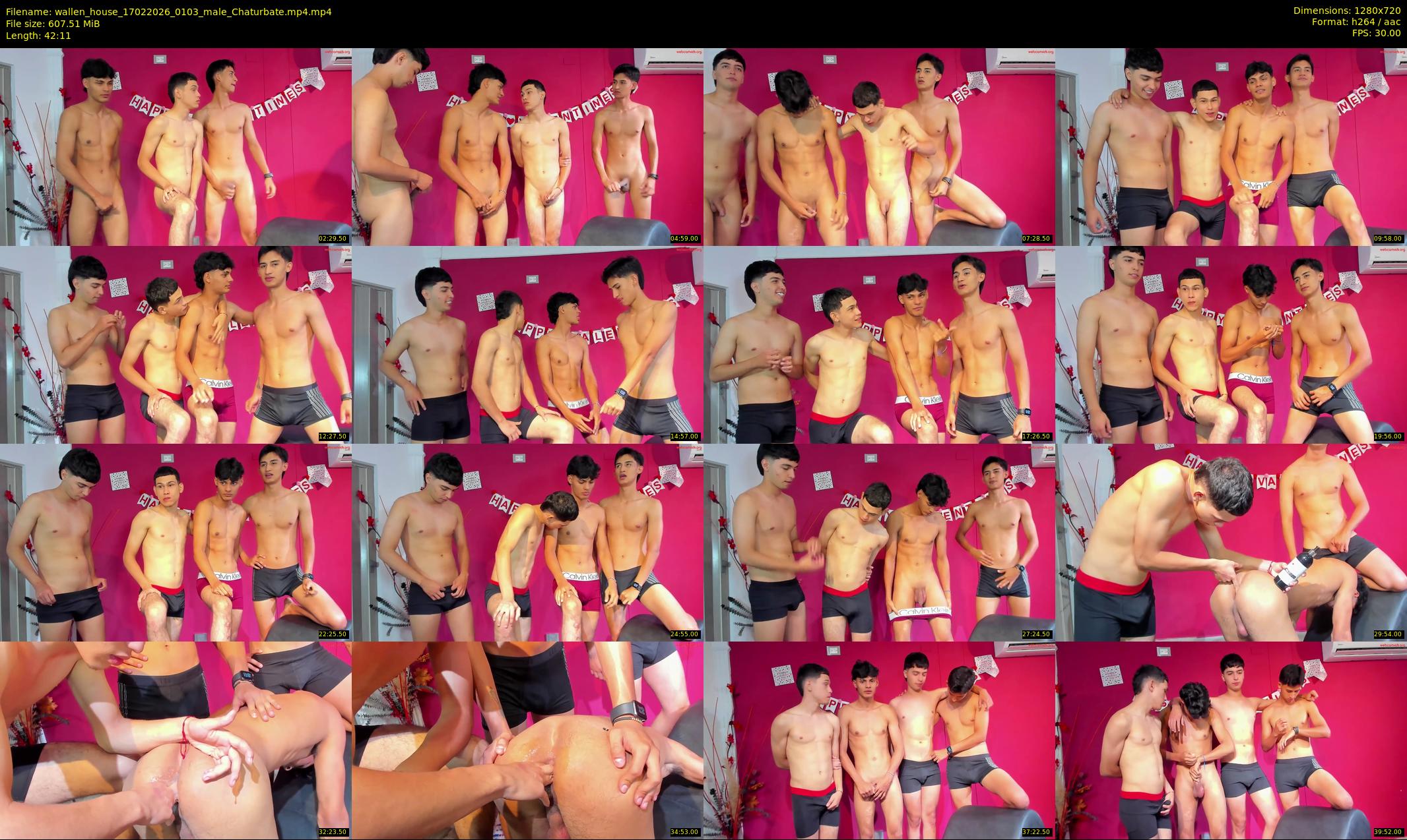 wallen_house — 43 minute Chaturbate couple cam show recording, 720p, Feb 17, 2026