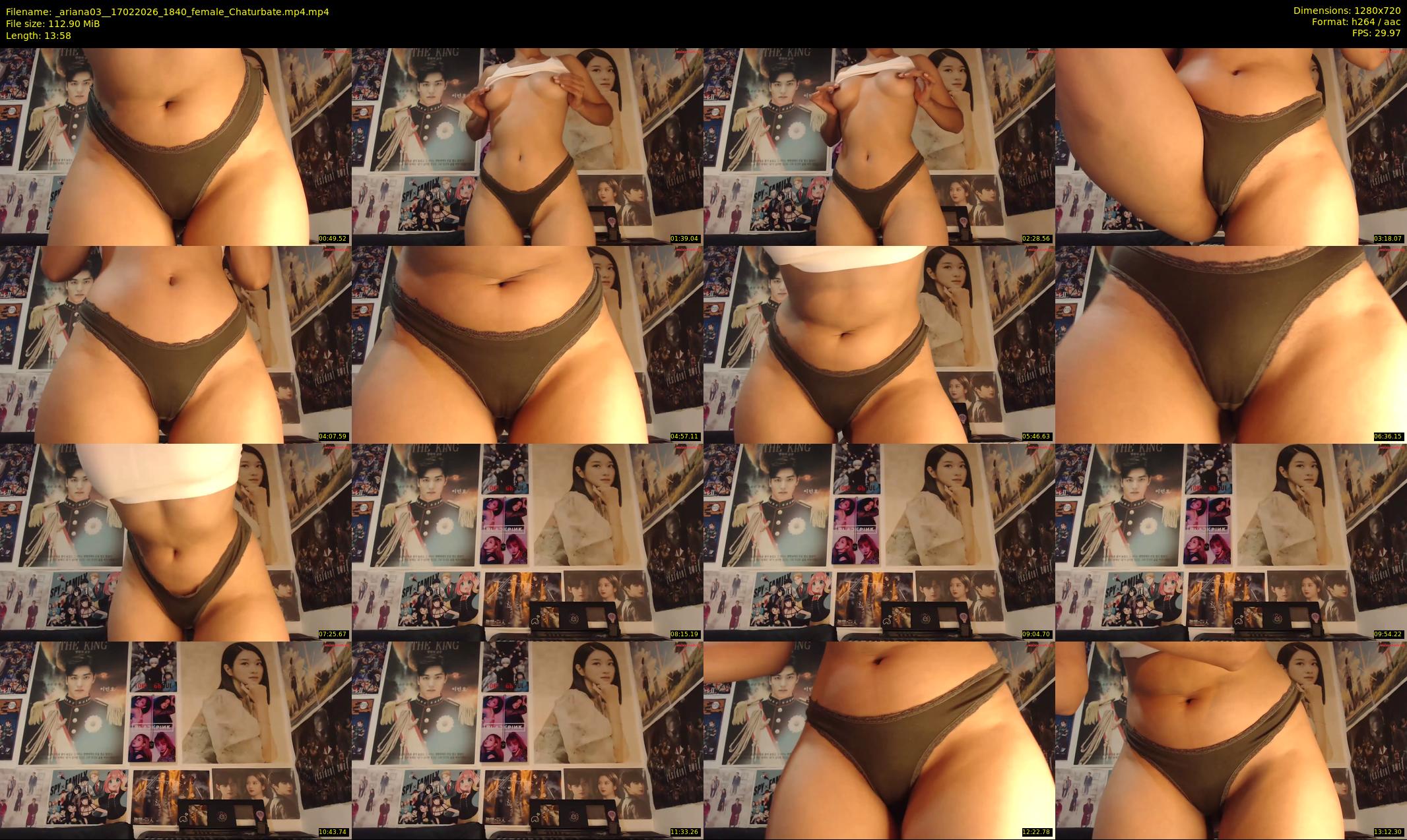 _ariana03_ — 14 minute Chaturbate female cam show recording, 720p, Feb 17, 2026