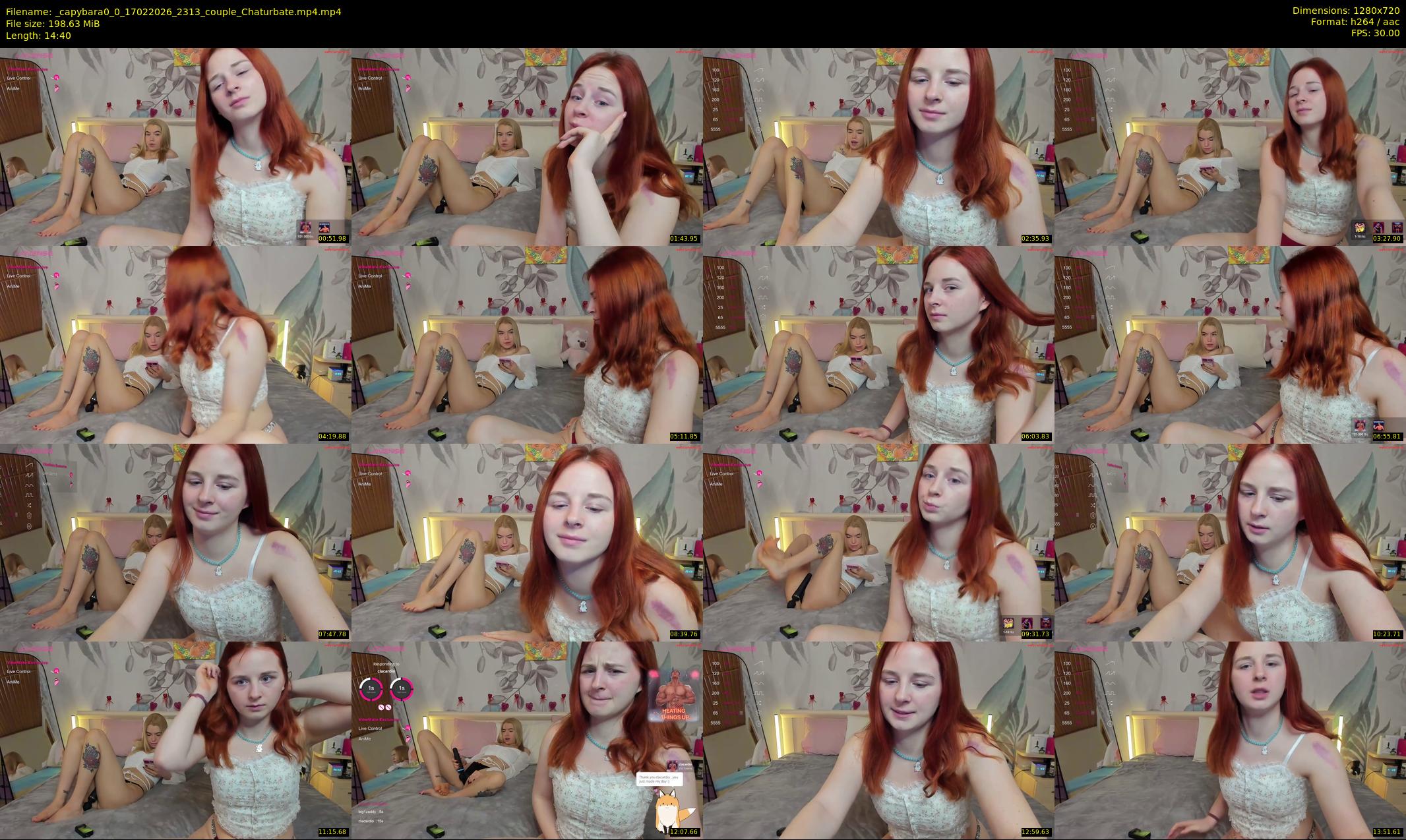 _capybara0_0 — 15 minute Chaturbate couple cam show recording, 720p, Feb 17, 2026
