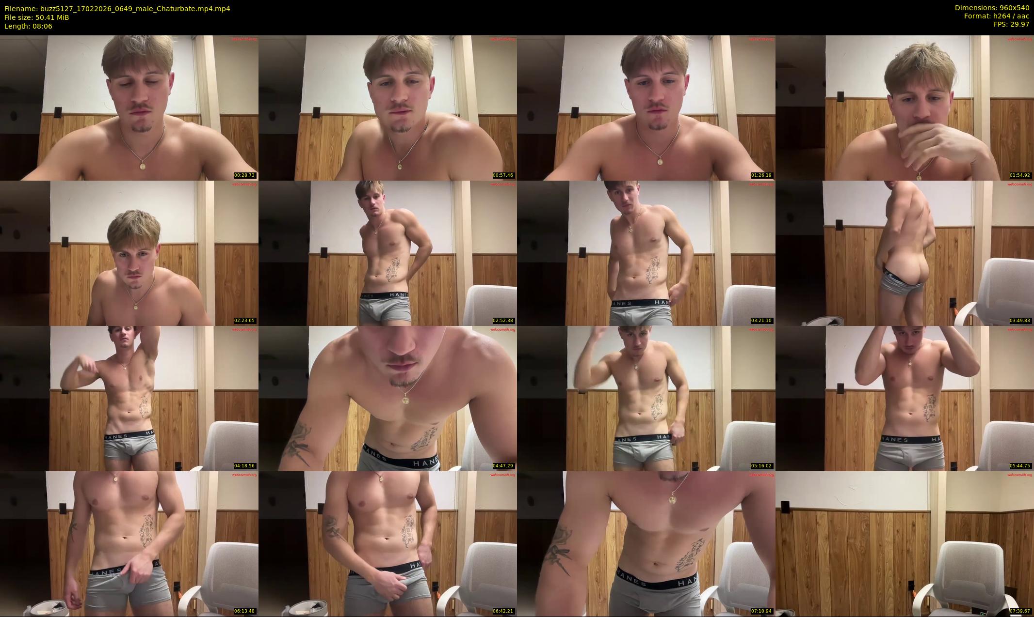 buzz5127 — 9 minute Chaturbate male cam show recording, 480p, Feb 17, 2026