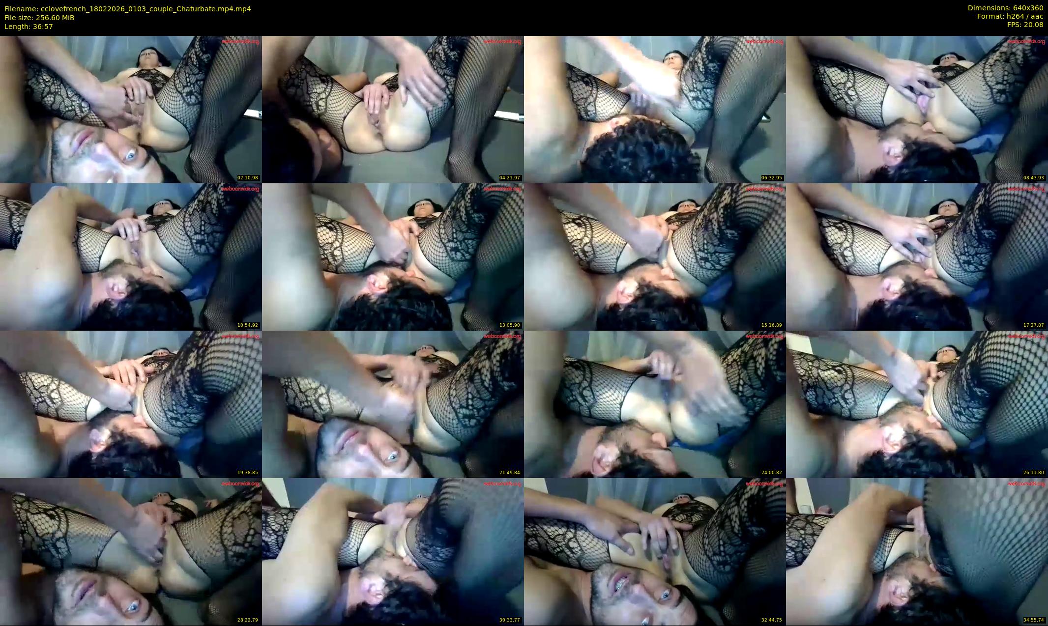 cclovefrench — 37 minute Chaturbate couple cam show recording, 360p, Feb 18, 2026