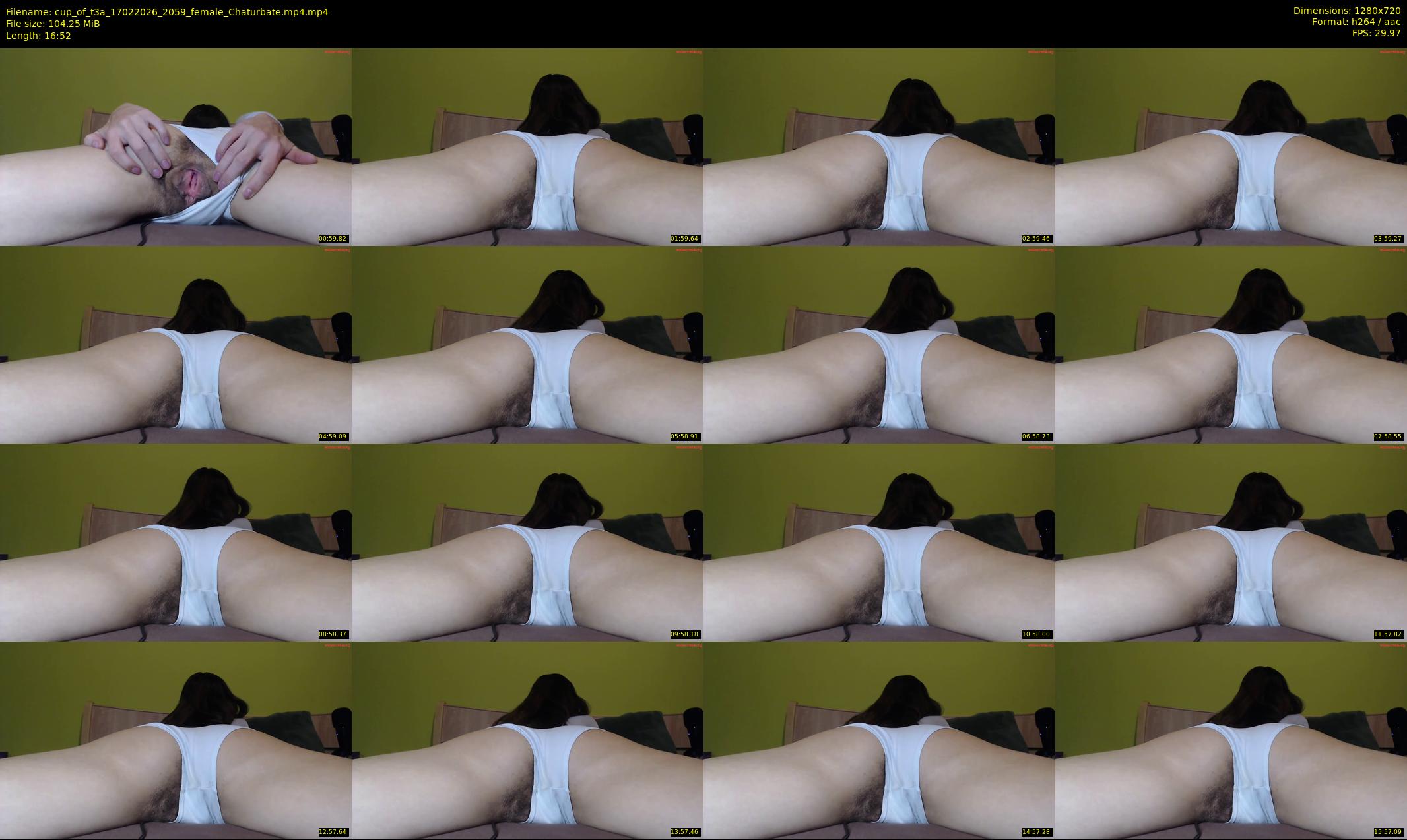cup_of_t3a — 17 minute Chaturbate female cam show recording, 720p, Feb 17, 2026