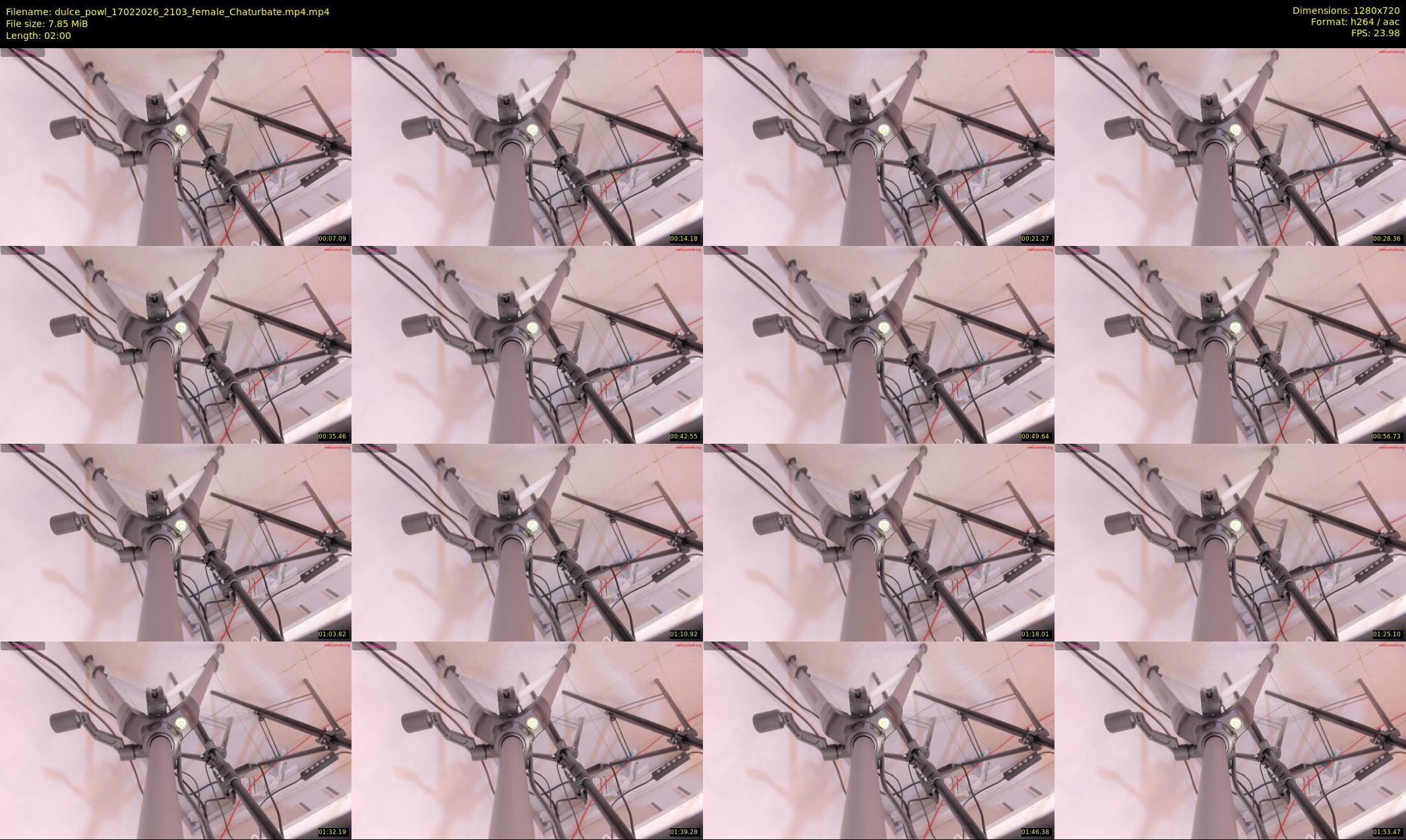 dulce_powl — 2 minute Chaturbate female cam show recording, 720p, Feb 17, 2026