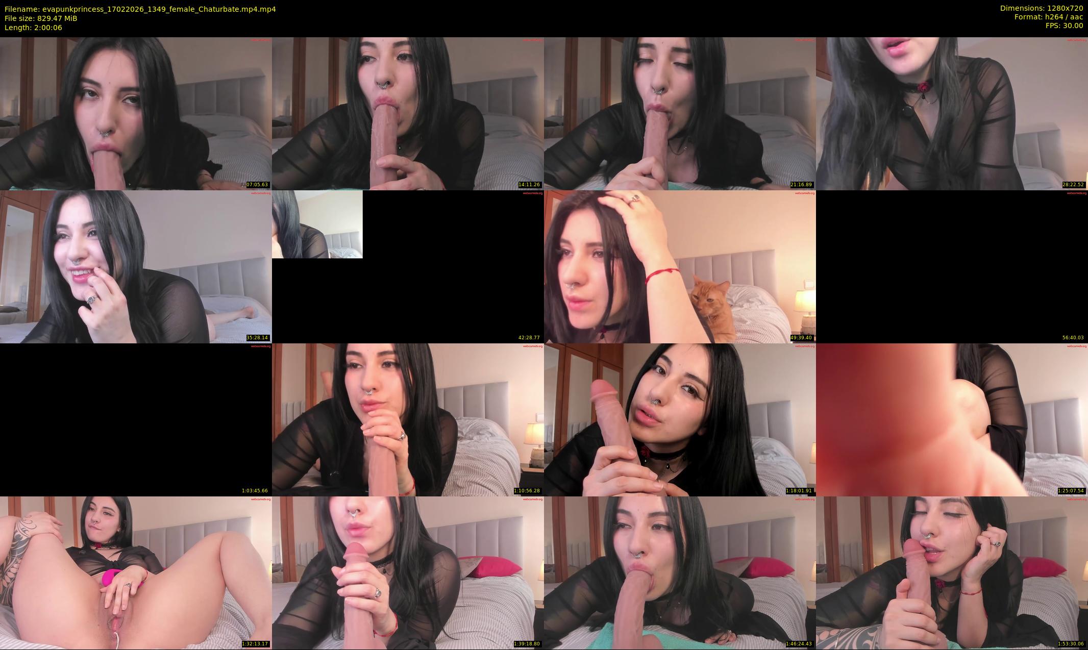 evapunkprincess — 121 minute Chaturbate female cam show recording, 720p, Feb 17, 2026