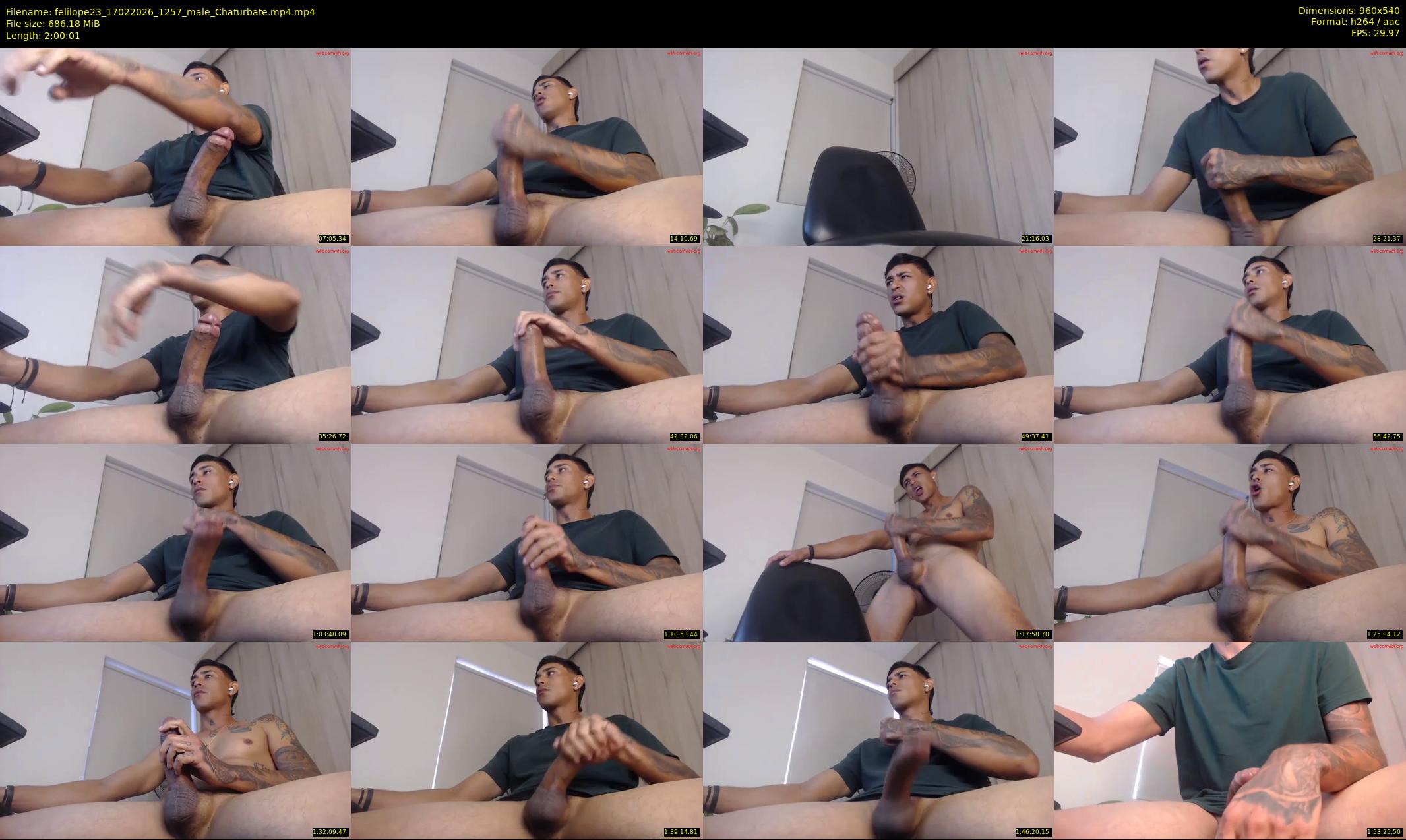 felilope23 — 121 minute Chaturbate male cam show recording, 480p, Feb 17, 2026