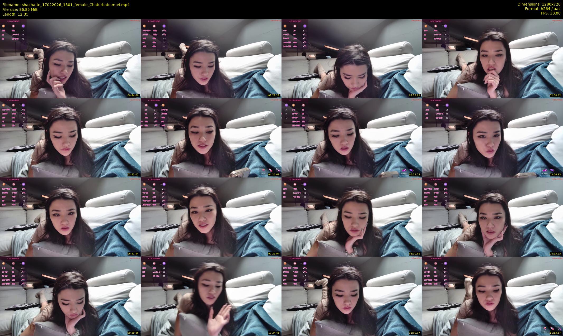 shachatte — 13 minute Chaturbate couple cam show recording, 720p, Feb 17, 2026