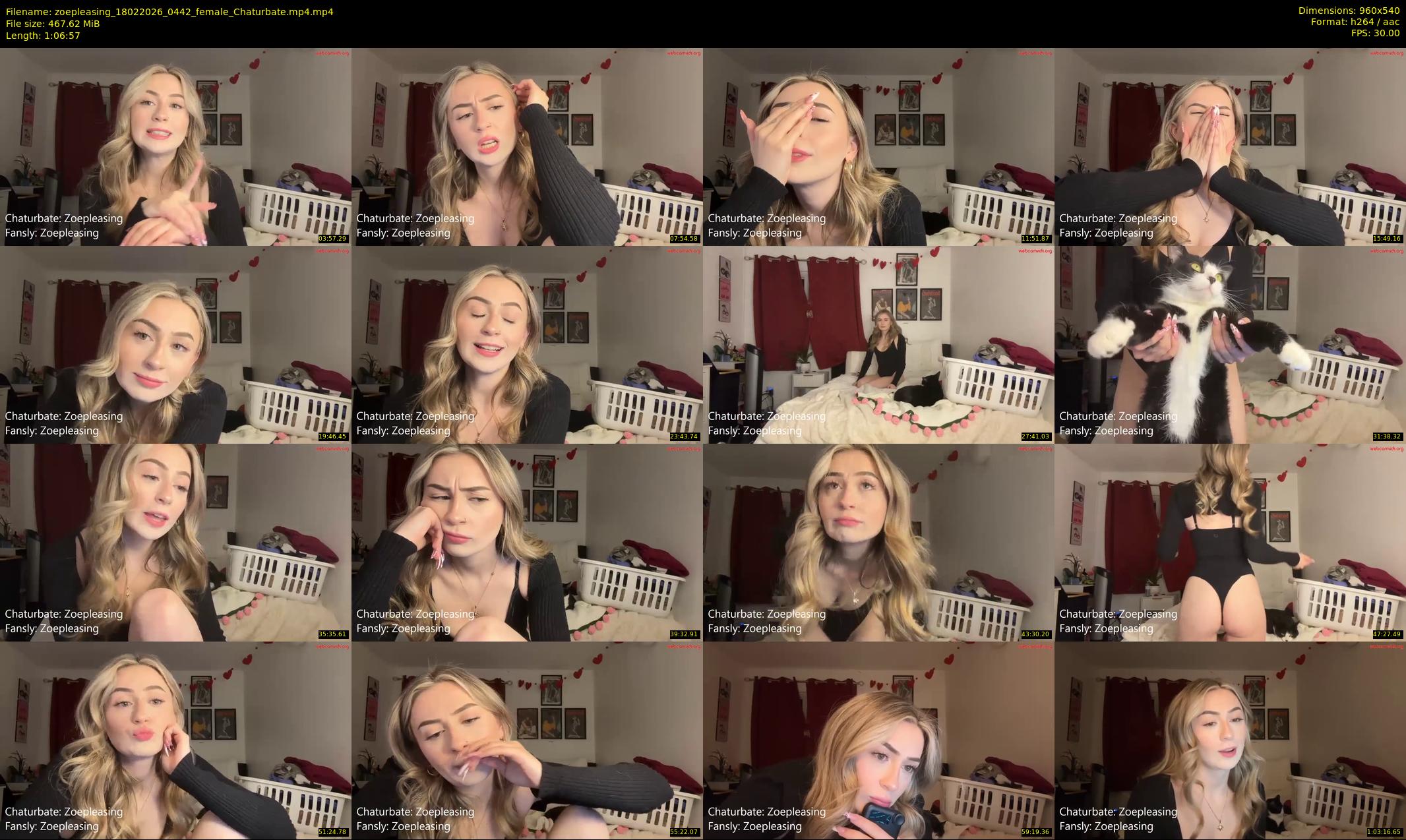 zoepleasing — 67 minute Chaturbate female cam show recording, 480p, Feb 18, 2026
