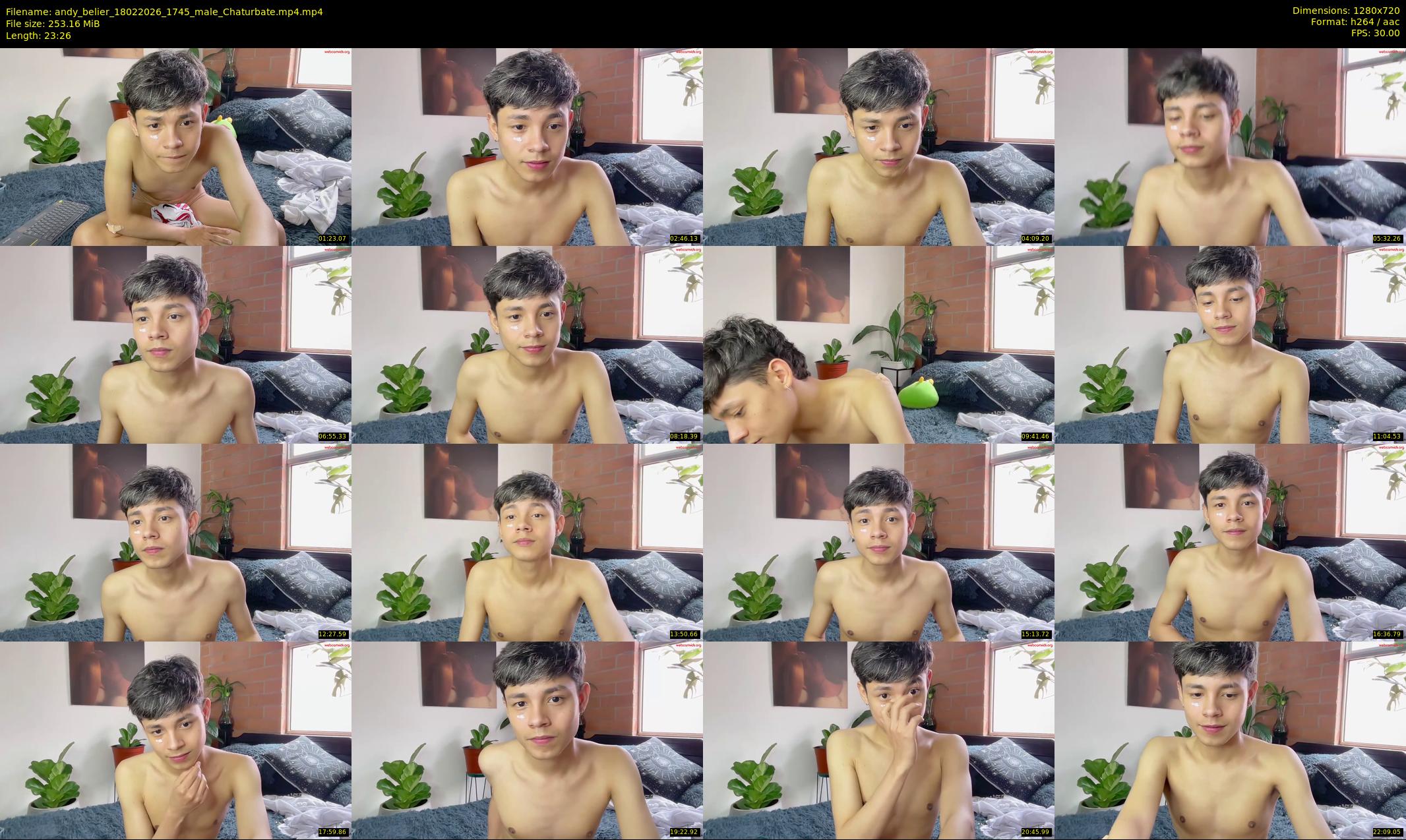 andy_belier — 24 minute Chaturbate male cam show recording, 720p, Feb 18, 2026