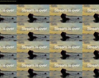 aurora_bunnie — 30 minute Chaturbate female cam show recording, 720p, Feb 19, 2026