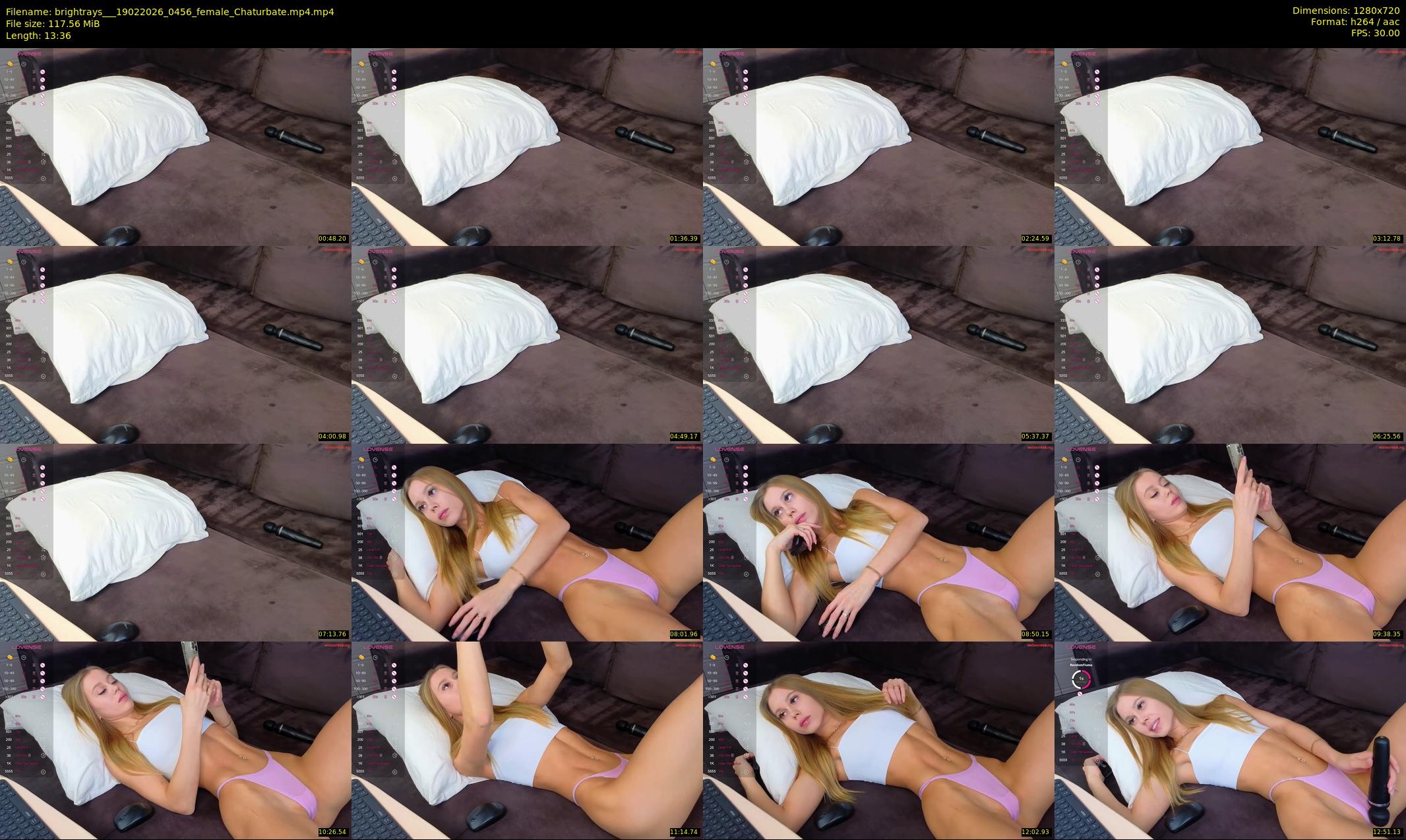 brightrays__ — 14 minute Chaturbate female cam show recording, 720p, Feb 19, 2026