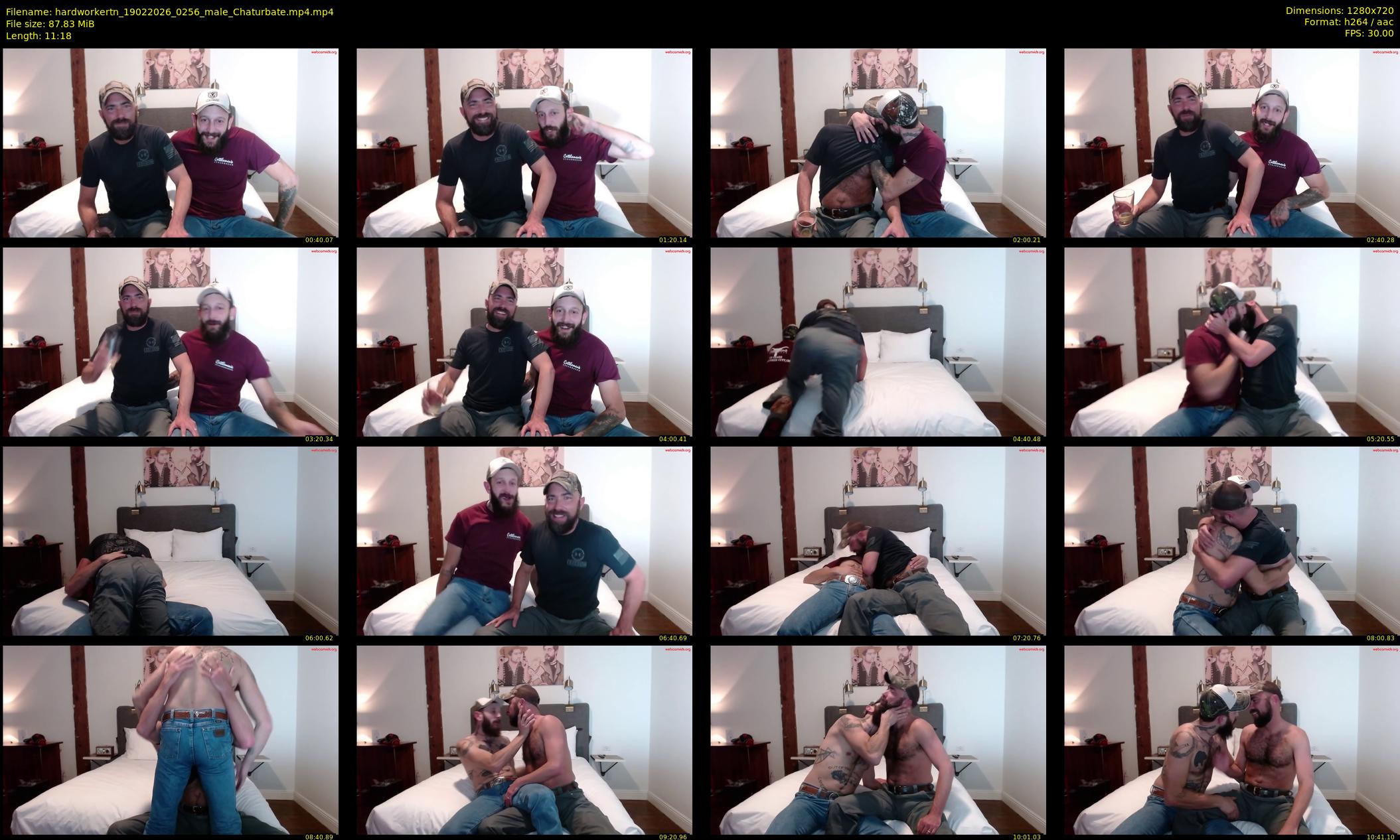 hardworkertn — 12 minute Chaturbate male cam show recording, 720p, Feb 19, 2026