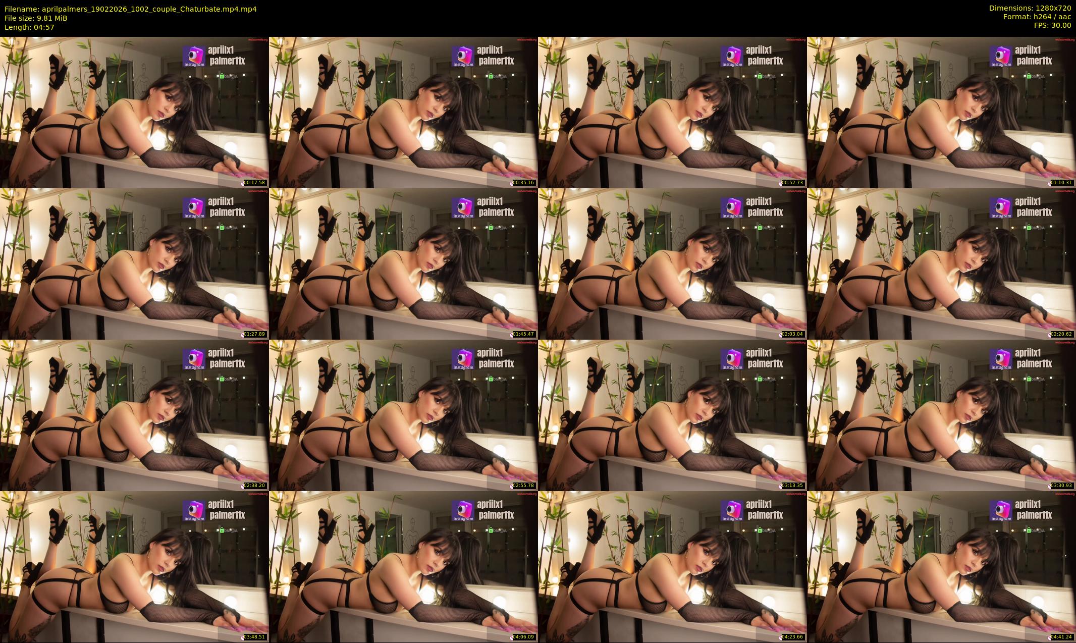 aprilpalmers — 5 minute Chaturbate female cam show recording, 720p, Feb 19, 2026