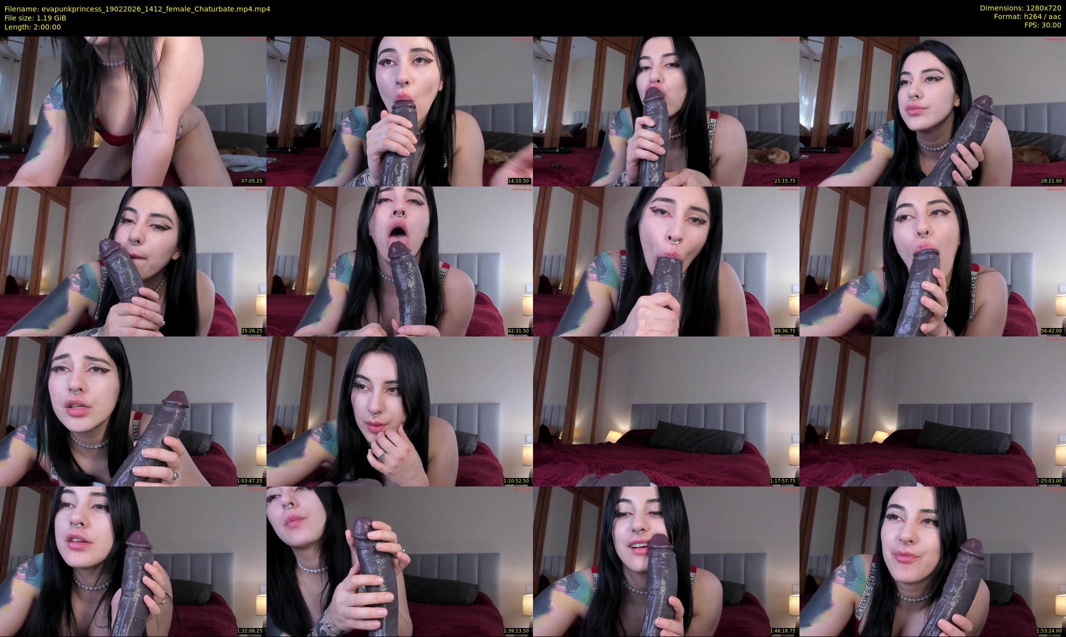 evapunkprincess — 120 minute Chaturbate female cam show recording, 720p, Feb 19, 2026