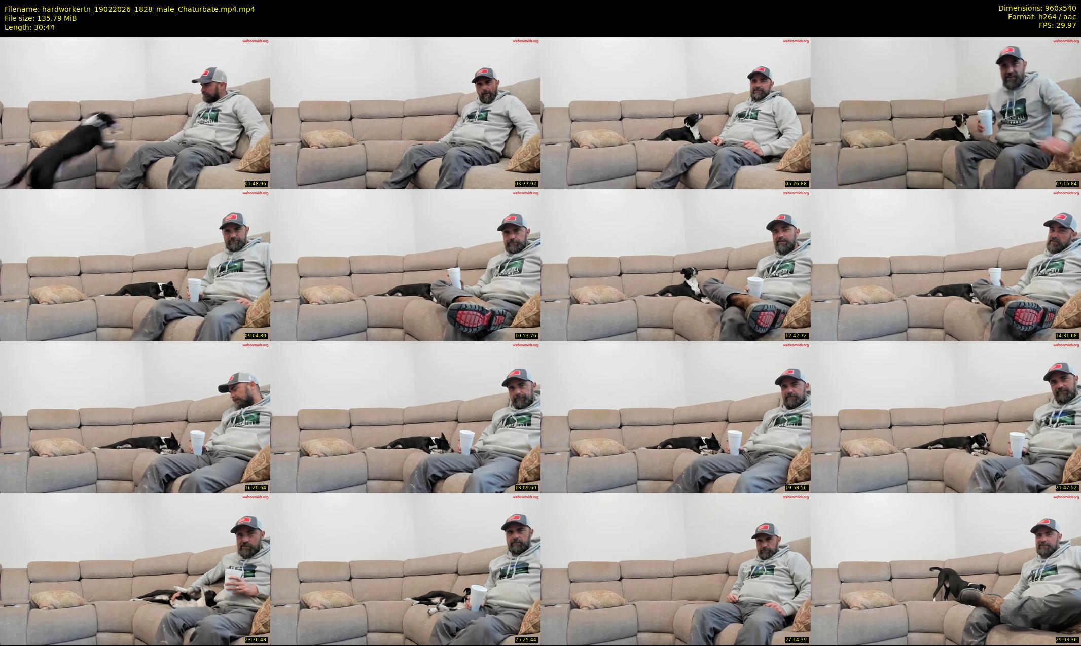 hardworkertn — 31 minute Chaturbate male cam show recording, 480p, Feb 19, 2026