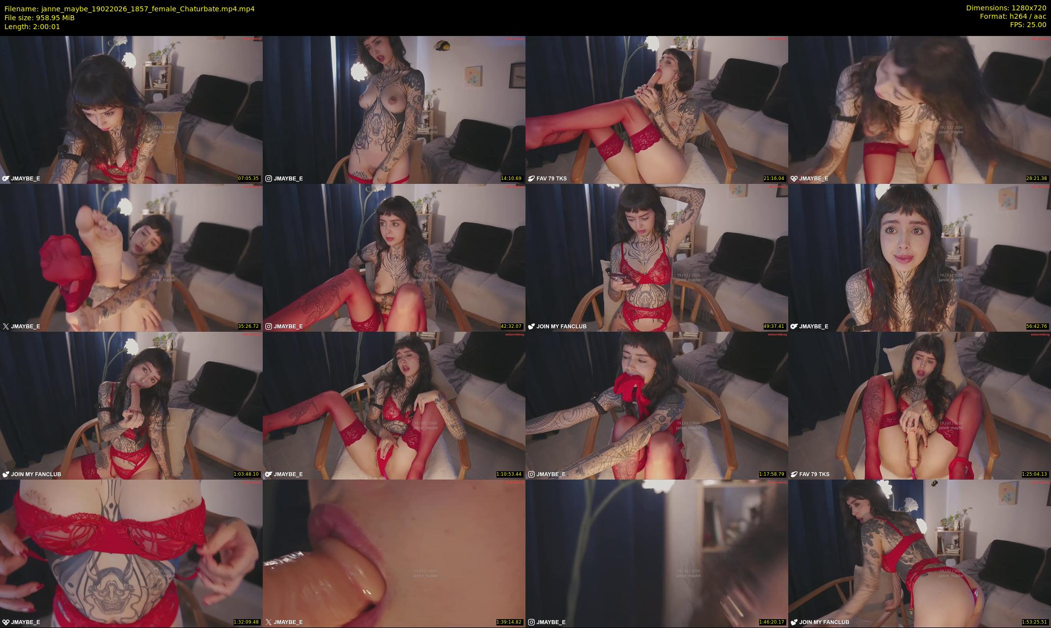 janne_maybe — 121 minute Chaturbate female cam show recording, 720p, Feb 19, 2026