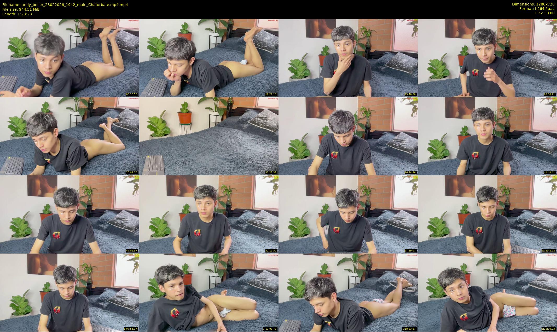 andy_belier — 89 minute Chaturbate male cam show recording, 720p, Feb 23, 2026
