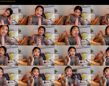 avaa_eve — 6 minute Chaturbate female cam show recording, 720p, Feb 20, 2026