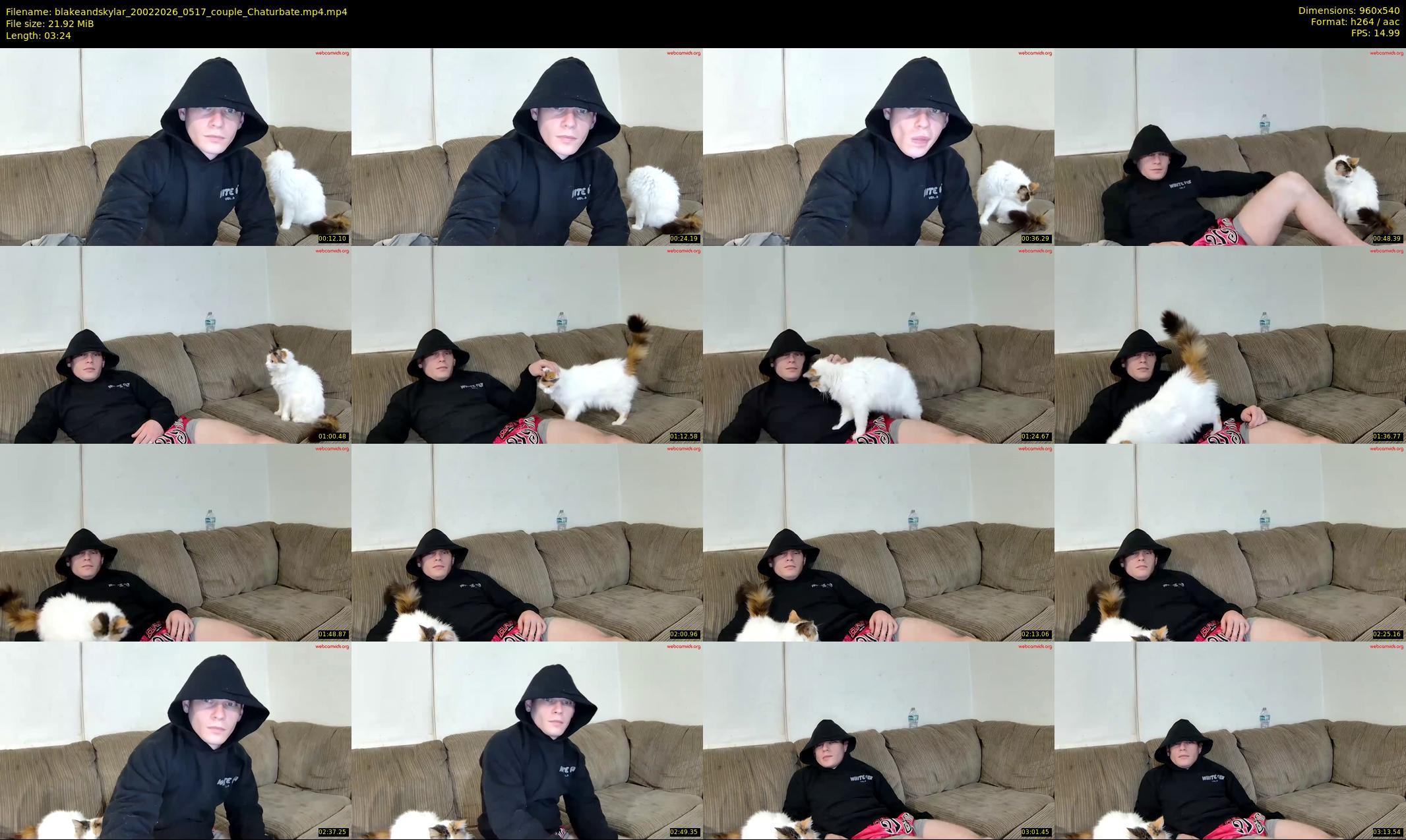 blakeandskylar — 4 minute Chaturbate couple cam show recording, 480p, Feb 20, 2026