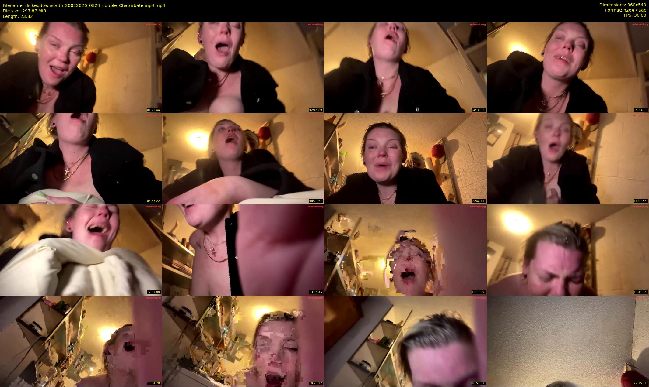 dickeddownsouth — 24 minute Chaturbate couple cam show recording, 480p, Feb 20, 2026