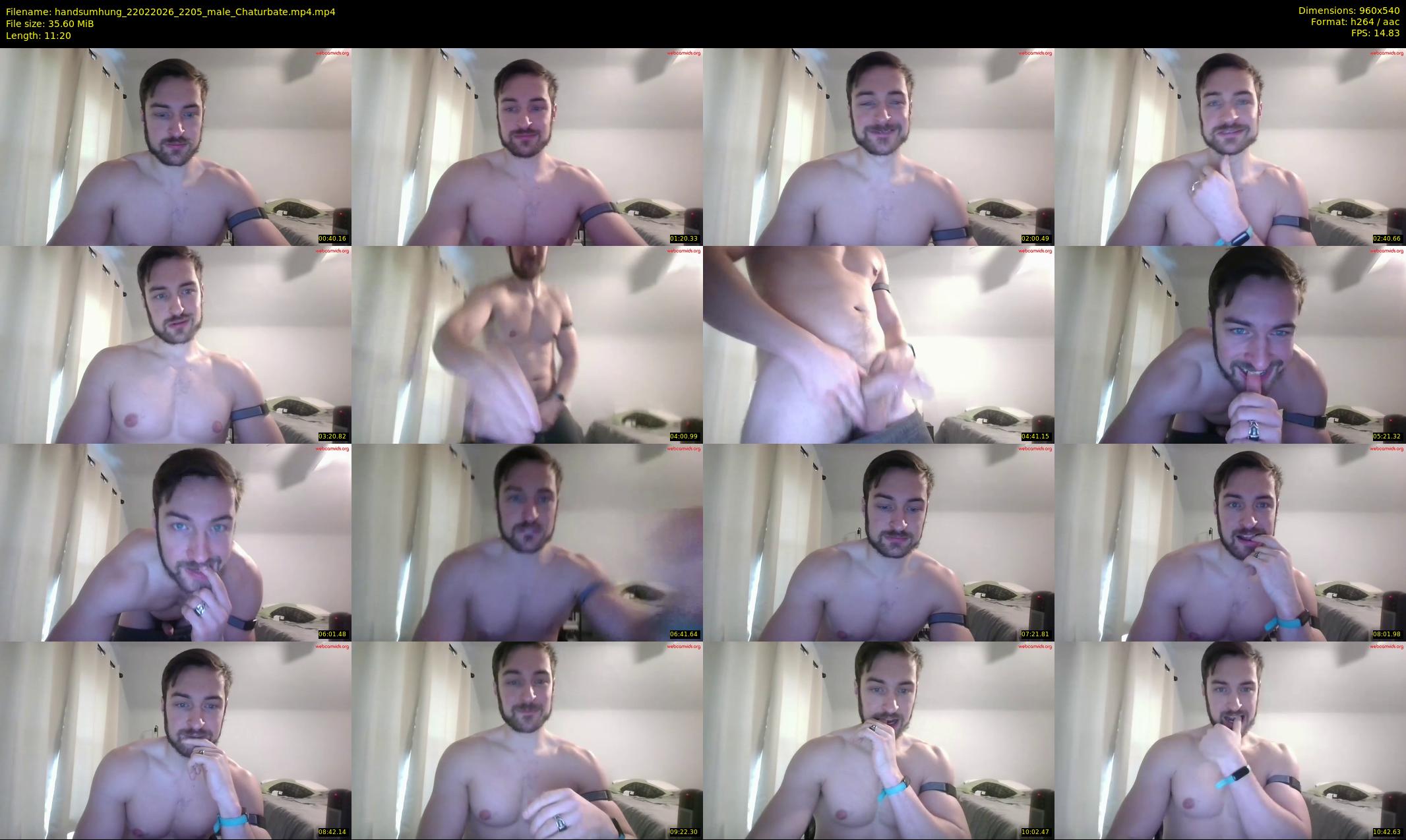 handsumhung — 12 minute Chaturbate male cam show recording, 480p, Feb 22, 2026