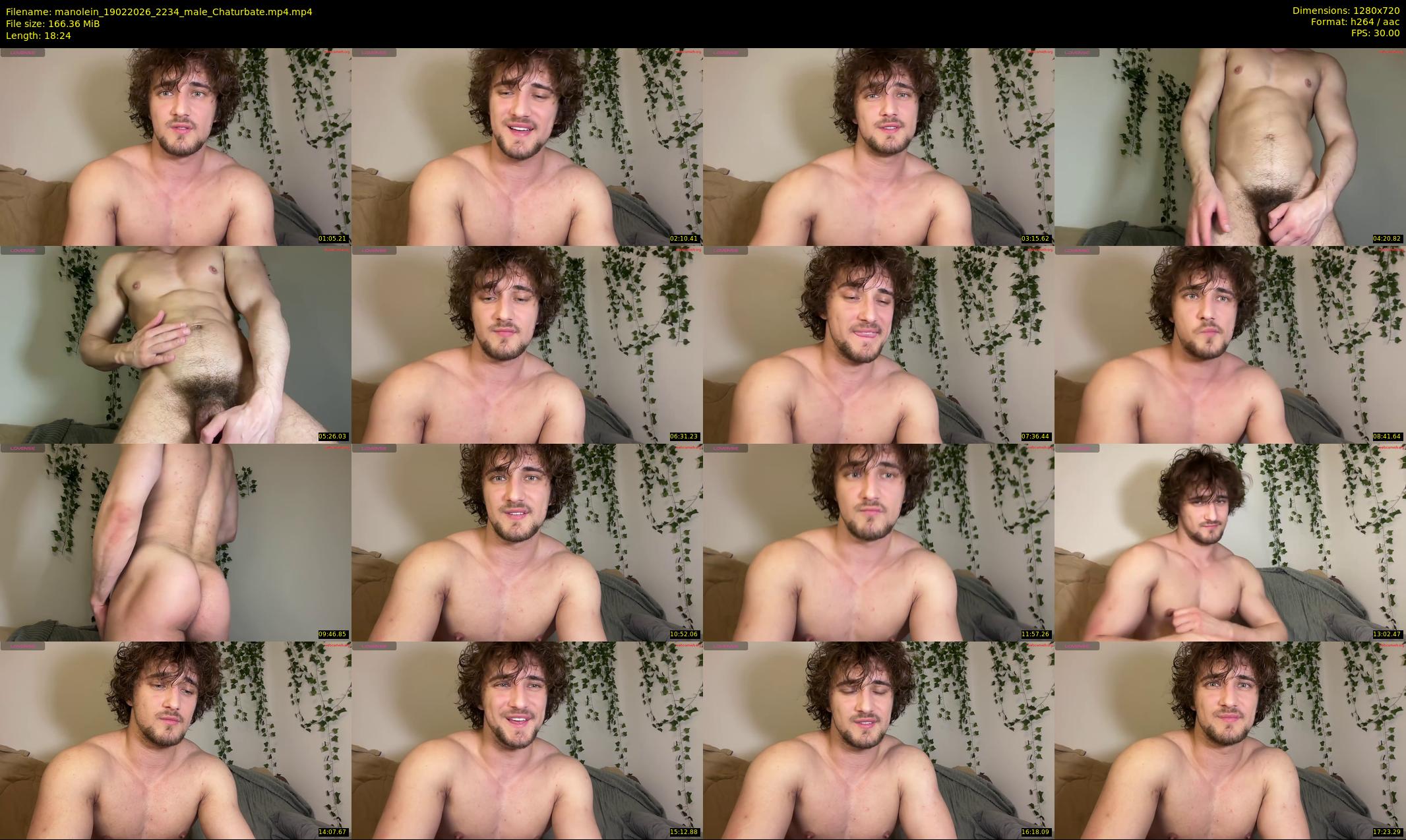 manolein — 19 minute Chaturbate male cam show recording, 720p, Feb 19, 2026