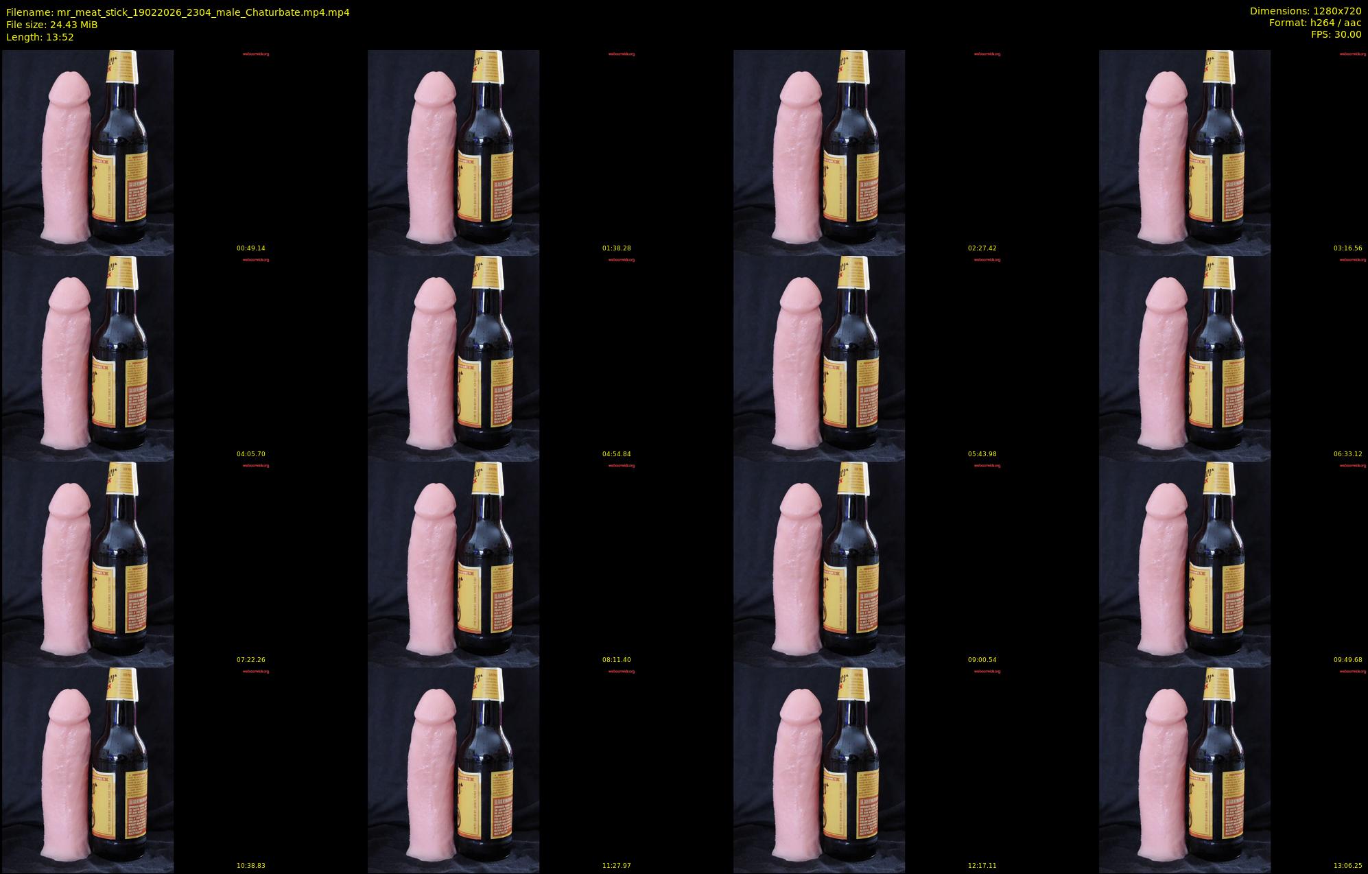 mr_meat_stick — 14 minute Chaturbate male cam show recording, 720p, Feb 19, 2026