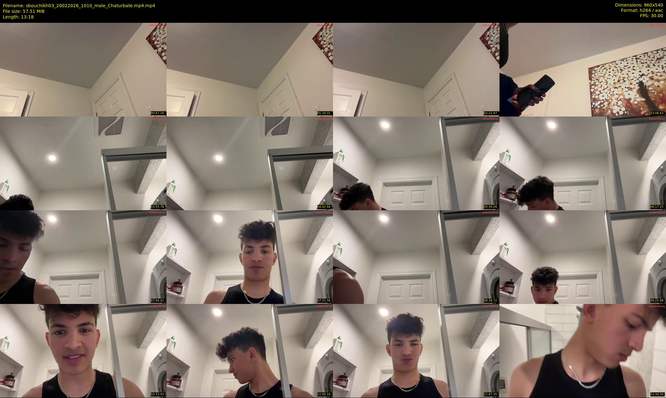 sbouchikh03 — 14 minute Chaturbate male cam show recording, 480p, Feb 20, 2026