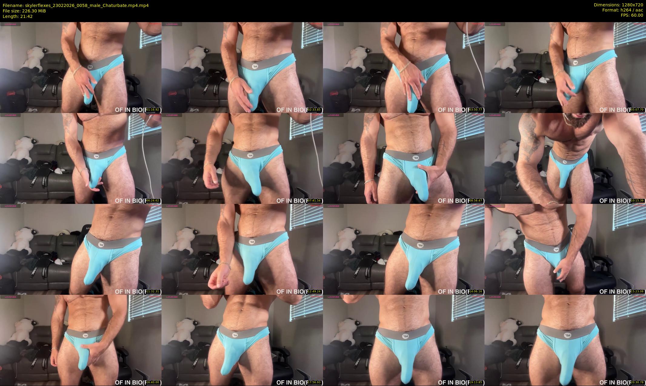 skylerflexes — 22 minute Chaturbate male cam show recording, 720p, Feb 23, 2026