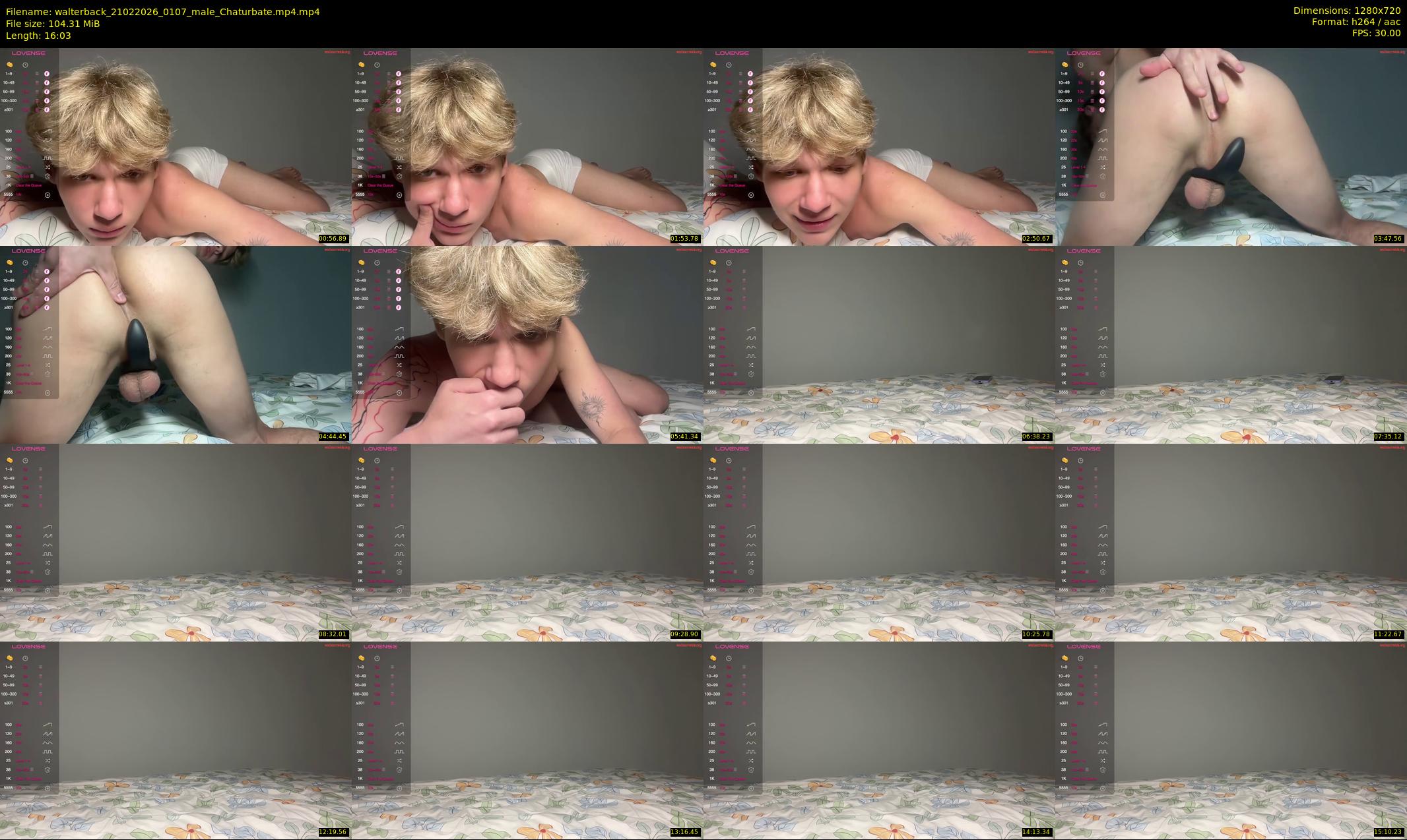walterback — 17 minute Chaturbate male cam show recording, 720p, Feb 21, 2026