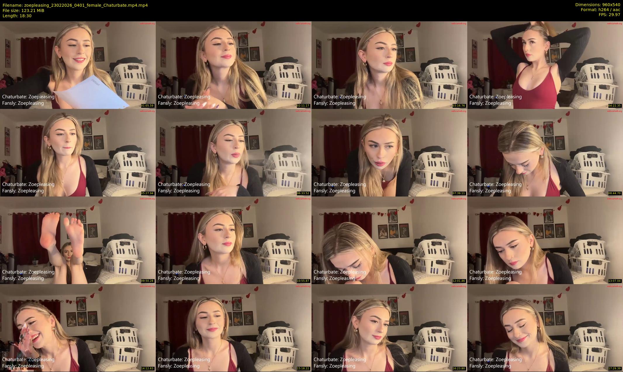 zoepleasing — 19 minute Chaturbate female cam show recording, 480p, Feb 23, 2026