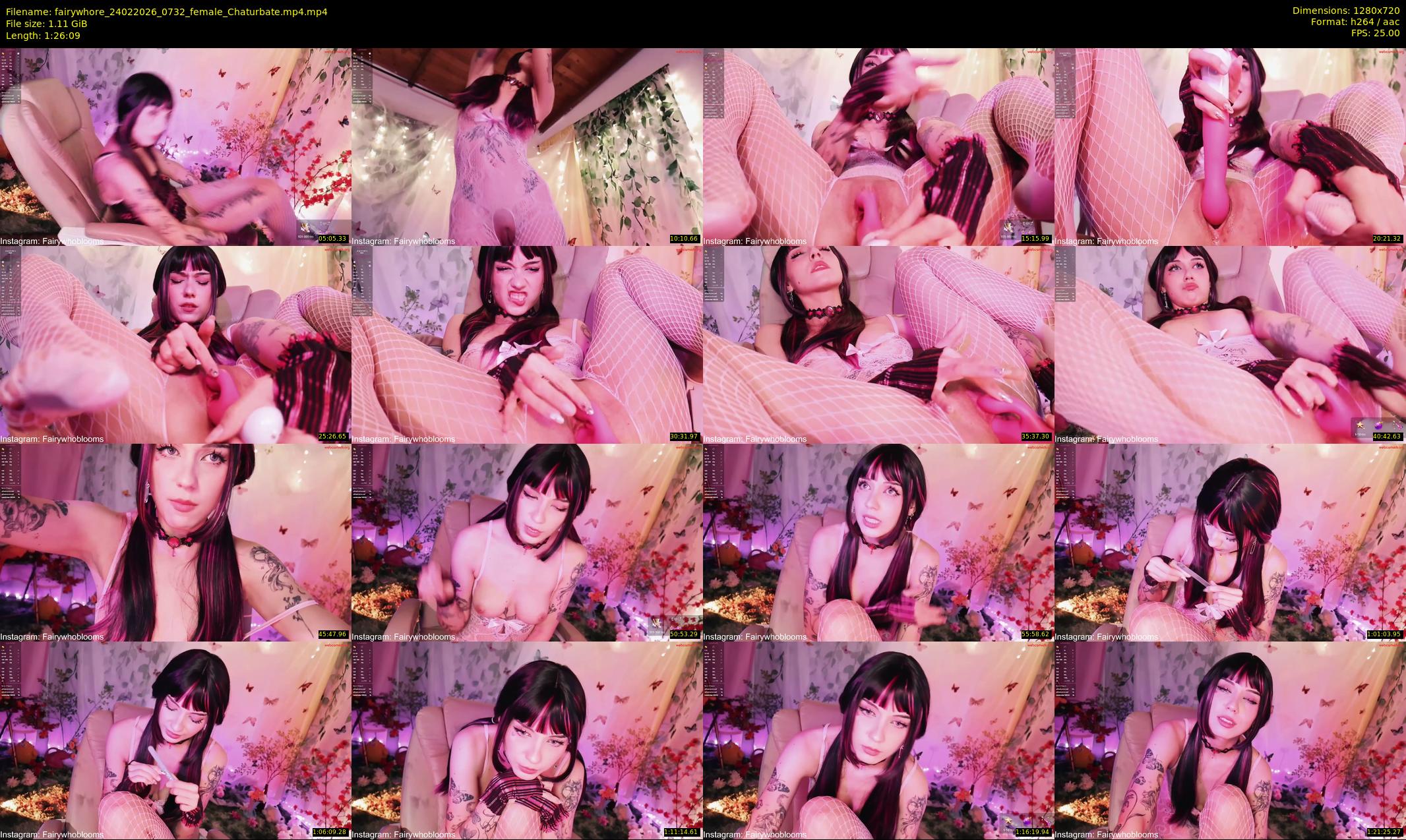 fairywhore — 87 minute Chaturbate female cam show recording, 720p, Feb 24, 2026
