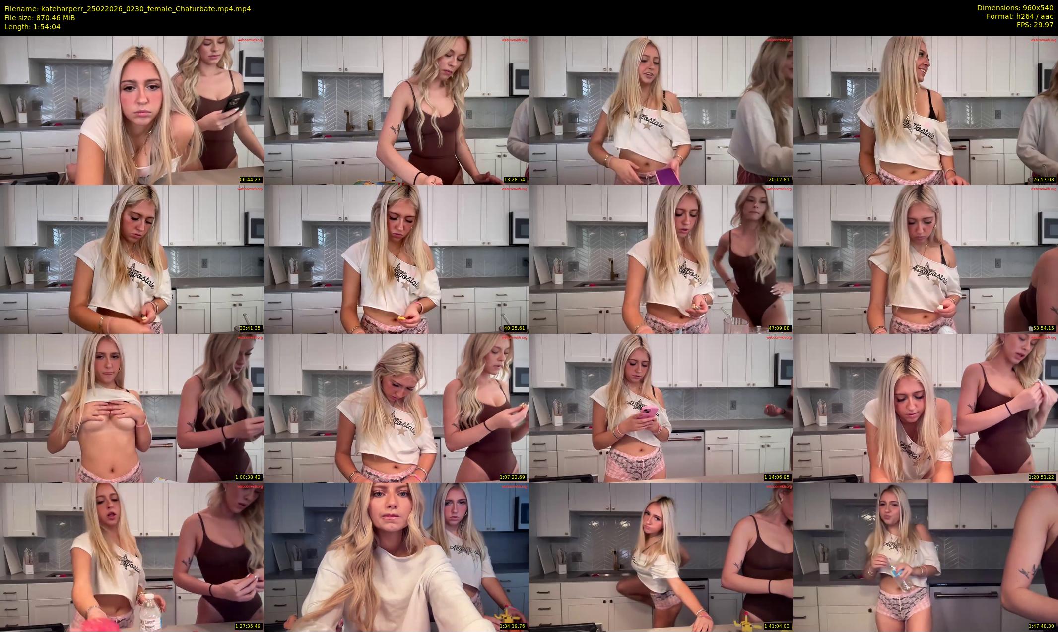 kateharperr — 115 minute Chaturbate female cam show recording, 480p, Feb 25, 2026
